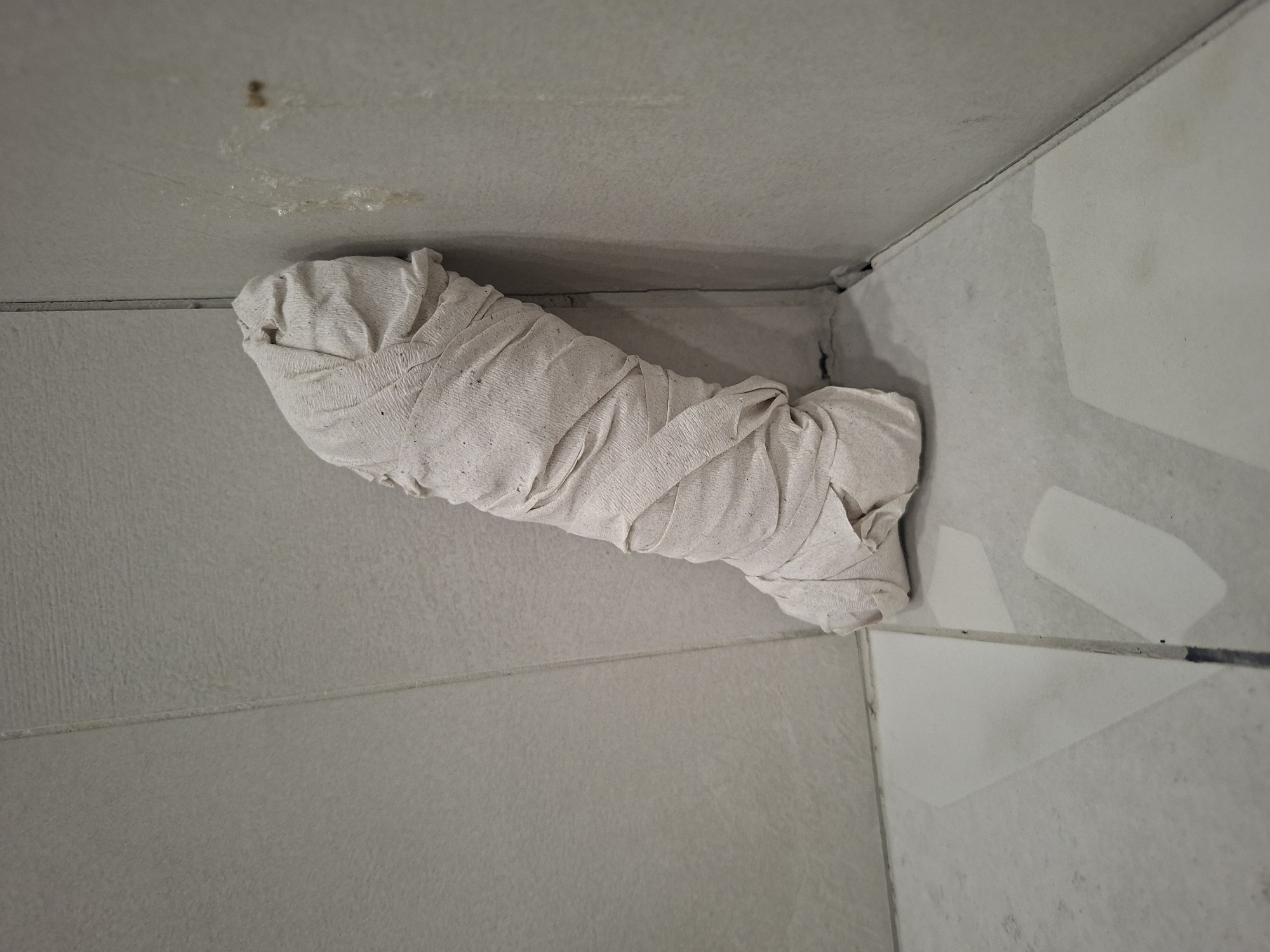 The image shows a roll of crumpled, light-colored paper towels wedged into the corner between tiled walls and the ceiling. The tiles are mostly light gray, with some white tiles visible. There is a small stain on the ceiling near the paper towels. The location is unspecified, and there's no information indicating that this is in Kokshetau, Kazakhstan. No people, subjects, actions, or interactions are depicted.
