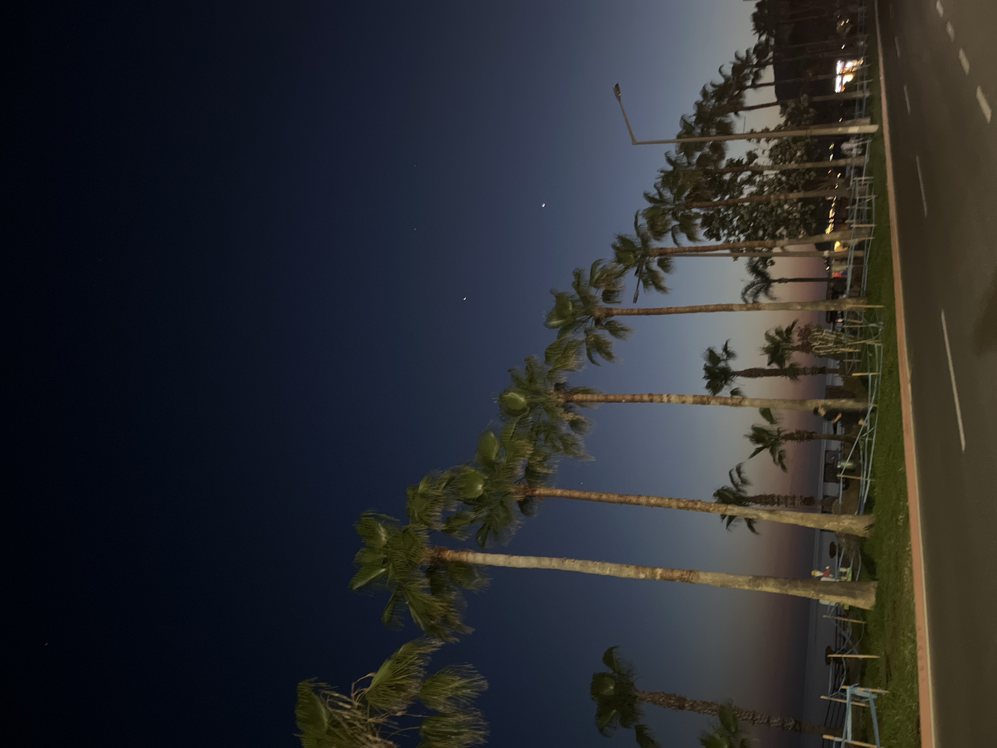 The image shows a nighttime scene in Alanya, Turkey. A row of palm trees lines a road, with the dark blue sky visible above. There is a crescent moon and a few stars in the sky. A streetlight is visible in the background. The road is asphalt with white lines, and there is a strip of grass between the road and the beach area. A few people are visible among the palm trees near the beach. There are some metal railings along the beach area.