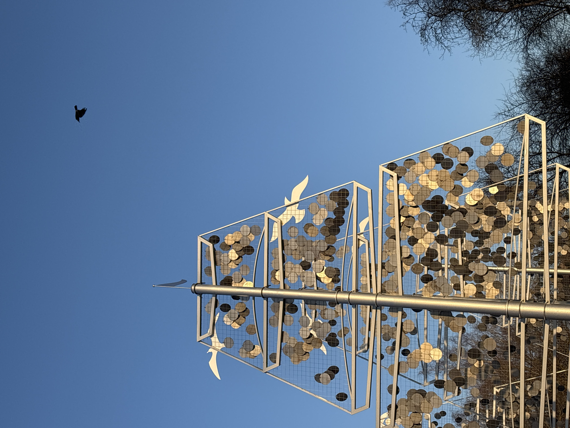 Here's a description of the image:
The image features an art installation against a clear blue sky, with a bird in flight visible in the upper left. The installation consists of several square or rectangular frames, constructed of metal and filled with a grid-like structure containing numerous circular discs, resembling coins or medallions. These discs are of varying shades, some appearing gold or bronze. Some stylized birds that are part of the art installation are visible on the left and right of the frame. The metal frames are connected by a central horizontal bar. The upper right of the image shows tree branches against the sky.
The image appears to be taken in Chaikovsky, Russia, based on the description provided.