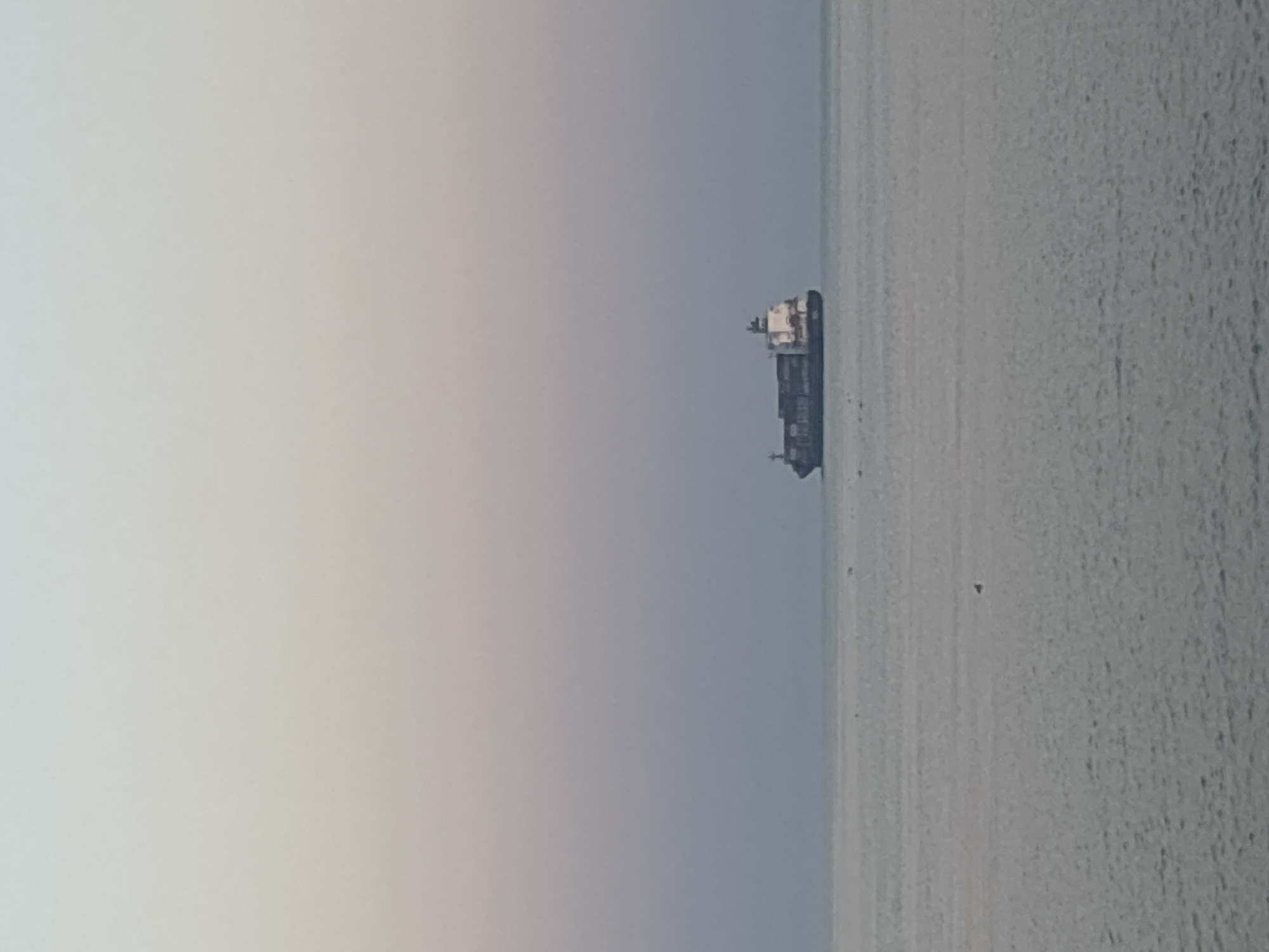 The image depicts a large cargo ship in the sea, under a gray sky. The cargo ship is dark in color with a white upper structure. The sea is calm. This image could be in Varna, Bulgaria, given the maritime location.