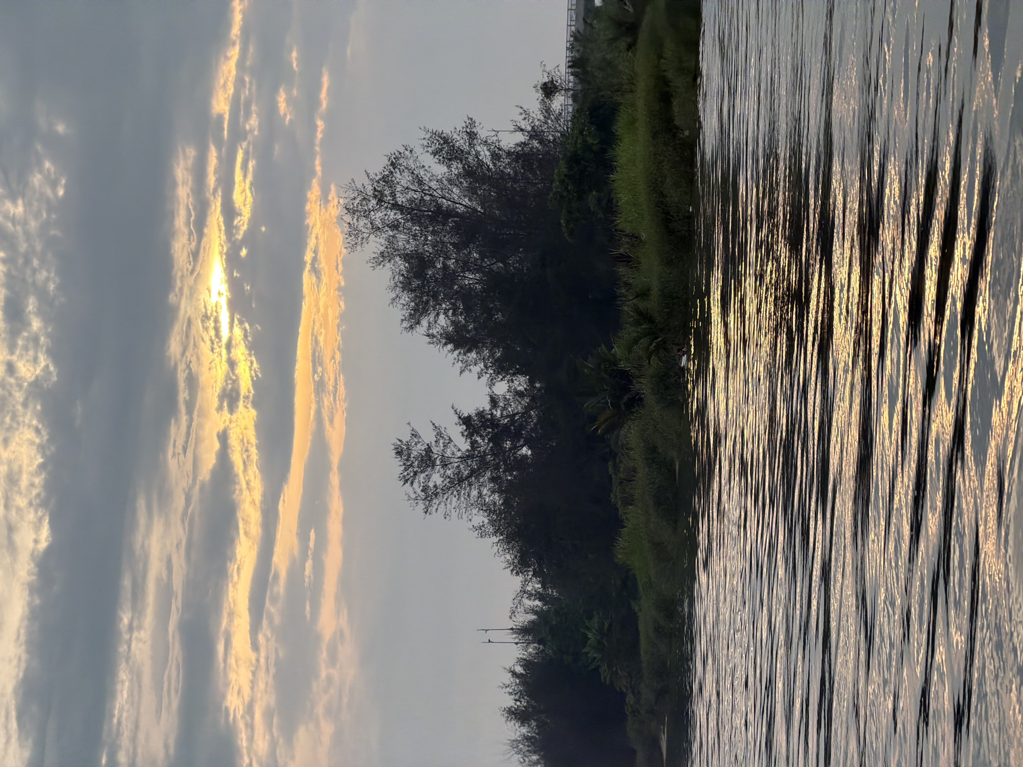 The image depicts a serene landscape scene captured during either sunrise or sunset, characterized by warm, golden light. The upper portion of the frame is dominated by a sky filled with elongated clouds. Bright, intense golden and orange light breaks through these clouds, particularly in the center, illuminating their edges and creating streaks of light against a softer grey sky.
Below the sky, a dense line of dark green and black foliage, consisting of trees and lush vegetation, forms the horizon. These plants are largely silhouetted, obscuring their finer details. Faint structures, possibly utility poles or distant infrastructure, are visible rising above the treeline in the middle-ground. On the far right, a more substantial, grey structure, possibly part of a bridge or building, is partially visible above the vegetation.
The lower half of the image features a calm body of water, likely a river or canal. The water's surface beautifully reflects the golden light from the sky, creating a striking pattern of shimmering, vertical streaks and ripples. These reflections consist of alternating bright golden lines and darker, undulating shadows, suggesting gentle movement on the water's surface.
The overall mood is peaceful and tranquil, highlighting the natural beauty of the "golden hour." There are no people or explicit activities visible. No visible text is present in the image. The setting, with its lush vegetation and water, is consistent with a natural environment like Hội An Ward, Vietnam.