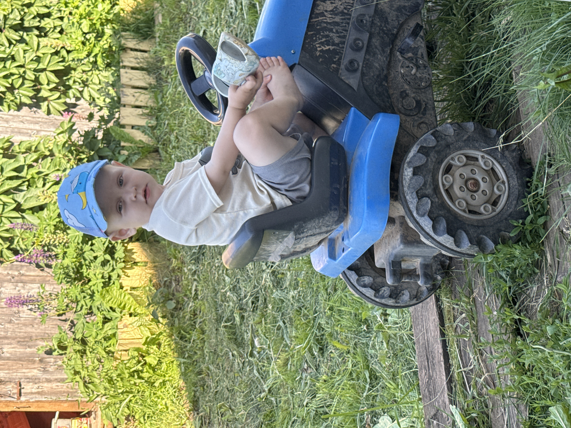 A young child is sitting on a blue toy tractor in a grassy area. The child is wearing a light-colored t-shirt, grey shorts, and a blue baseball cap with a cartoon print. The child is holding a white cup with a blue design in their right hand. The tractor has a black steering wheel and a black seat. The background shows a wooden fence and green foliage. The scene appears to be outdoors in a rural or suburban setting, possibly in Ляльшур, Russia, given the context provided. The ground is covered in grass, with some wooden planks visible beneath the tractor. The lighting suggests it is daytime, likely during sunny weather.