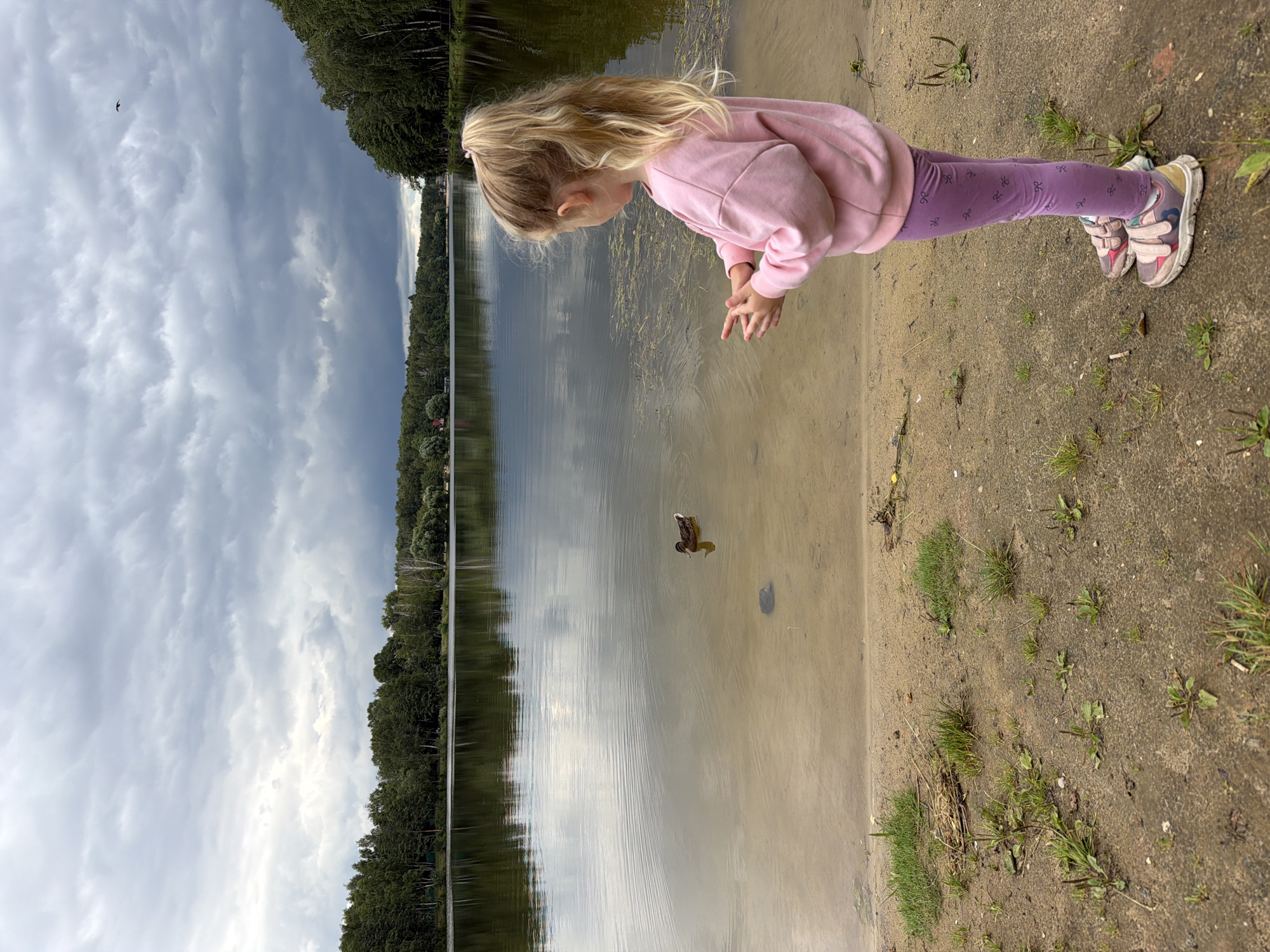 In Malakhovka, Russia, a young girl with blonde hair tied in a ponytail stands on a sandy shoreline, facing a lake. She wears a pink sweatshirt and purple leggings adorned with a bow pattern, and pink and white sneakers. Her hands are positioned in front of her as if she is about to toss something. In the lake, a duck swims near the shore. The water reflects the overcast sky and the dense green forest that lines the opposite bank. The foreground is a sandy bank with scattered patches of grass and some debris.