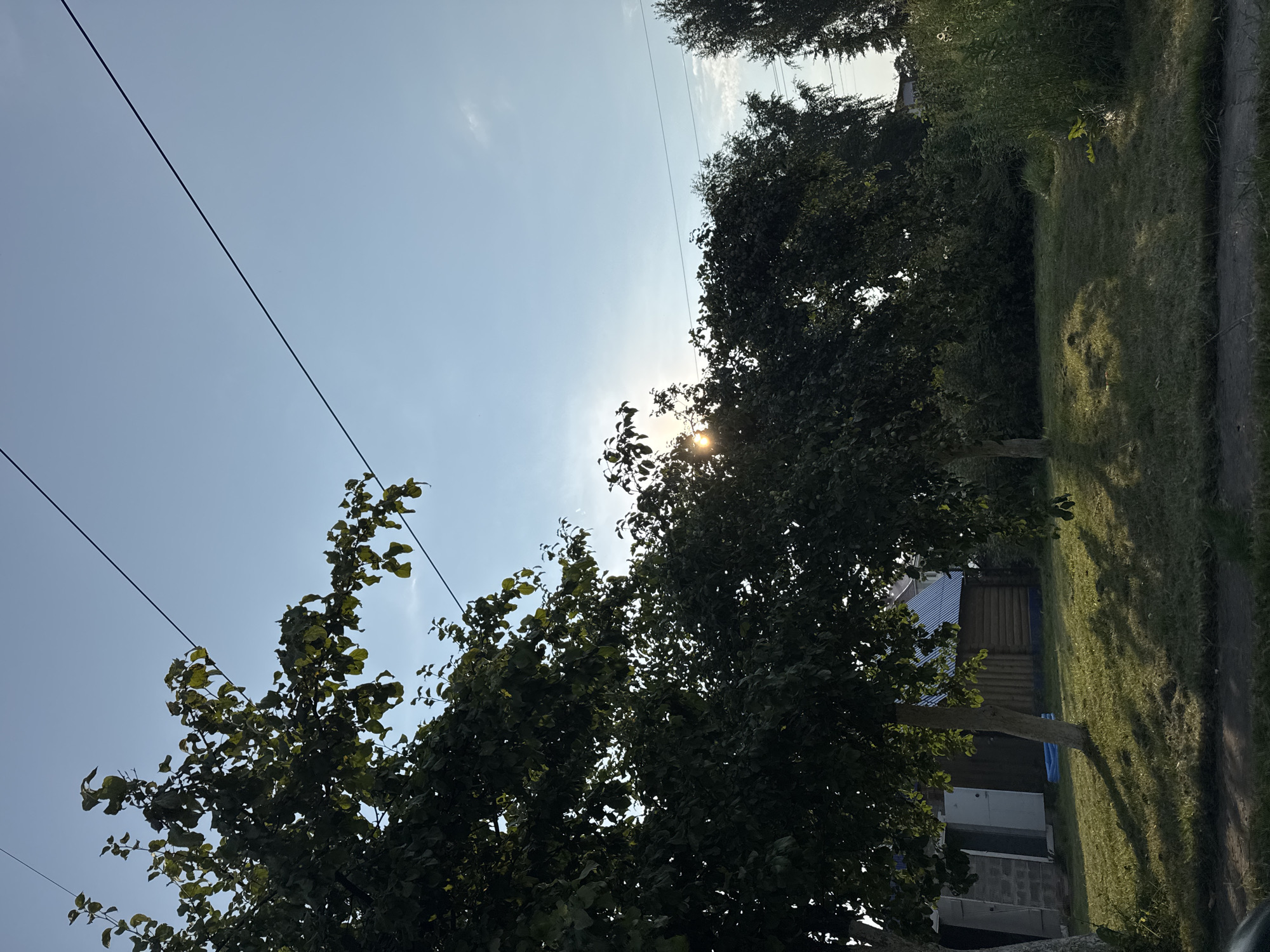 The image shows a sunny day in Chaikovsky, Russia, with a clear blue sky and some wispy clouds. In the foreground, there is a lawn with shadows cast by trees. Several trees with green leaves are scattered across the scene. In the background, there are buildings, a wooden fence, and more vegetation. Power lines stretch across the sky. The sun is visible, peeking through the leaves of one of the trees. The overall impression is one of a peaceful, rural setting.