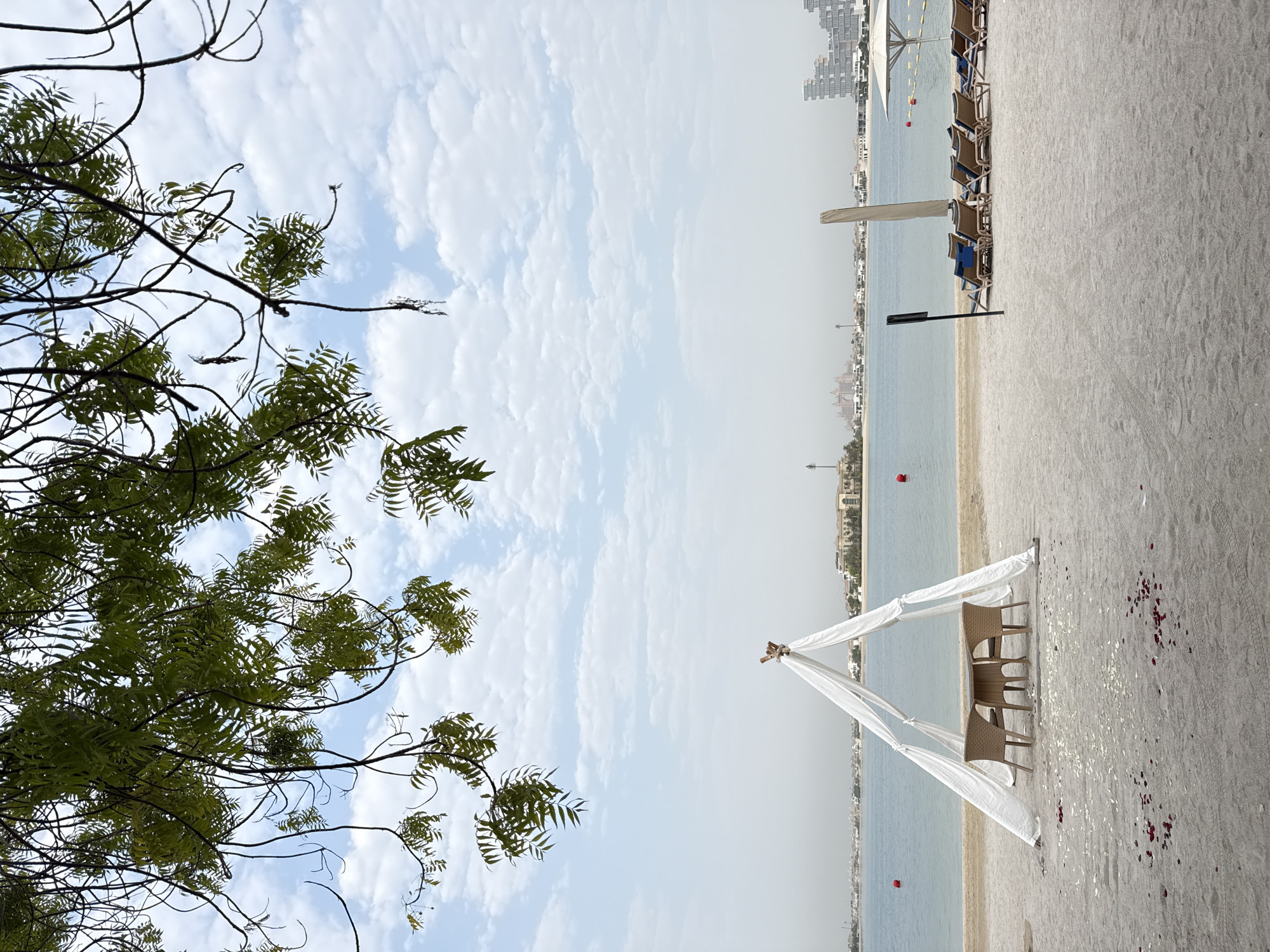 The image depicts a serene beach scene in Dubai, United Arab Emirates, with a clear view of the city skyline in the distance. Overhead, lush green foliage from a tree drapes across the frame, framing the sky and the beach below. The beach is covered in fine, light-colored sand, with scattered rose petals suggesting a romantic setting.
In the foreground, a white draped tent structure is set up, sheltering a small table with four chairs. The table is made of woven material, and the chairs appear to be of a similar style, creating an intimate dining area. The sea stretches out beyond the beach, its calm waters reflecting the overcast sky, which is dotted with white, fluffy clouds.
Further down the beach, a row of empty lounge chairs are neatly arranged, some with blue cushions, facing the sea. A large white umbrella stands nearby, casting a shadow on the sand. A tall, slender pole with a black sign is planted in the sand to the left of the lounge chairs, and another pole, possibly a flag or marker, is visible behind the chairs. Red buoys can be seen in the water, indicating a designated swimming or boating area.
In the background, the Dubai skyline is visible across the water. Distinctive architectural structures, including what appears to be the Atlantis, The Palm hotel with its unique stacked design, and other buildings, are identifiable. The overall atmosphere is peaceful and tranquil, with a sense of quiet luxury.