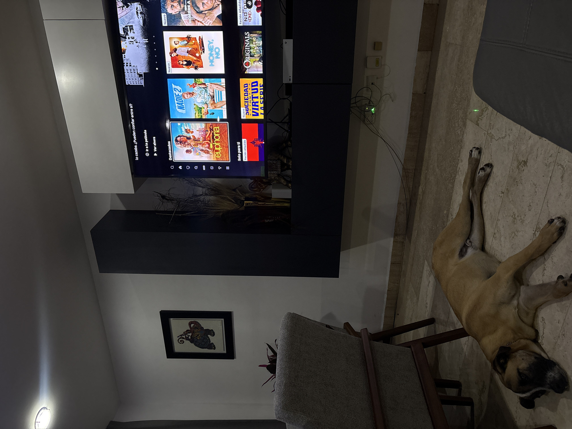 The image depicts a dimly lit living room interior in Santa Clara Ocoyucan, Mexico. A large flat-screen television displays a Netflix menu with movie and series titles in Spanish, including "NADIE 2", "Euphoria", "SOCIEDAD VIRTUD", "HONEY, NO" and "HOMBRE A". A black entertainment console with white gaming consoles is mounted below the TV. Beneath the console, there's a vase with dried plants and foliage. On the wall to the left of the console hangs a framed picture. A gray upholstered chair stands near the wall. A large tan-colored dog lies sprawled on the tiled floor, its hind legs extended. Visible power outlets and cords are on the wall near the top of the image.