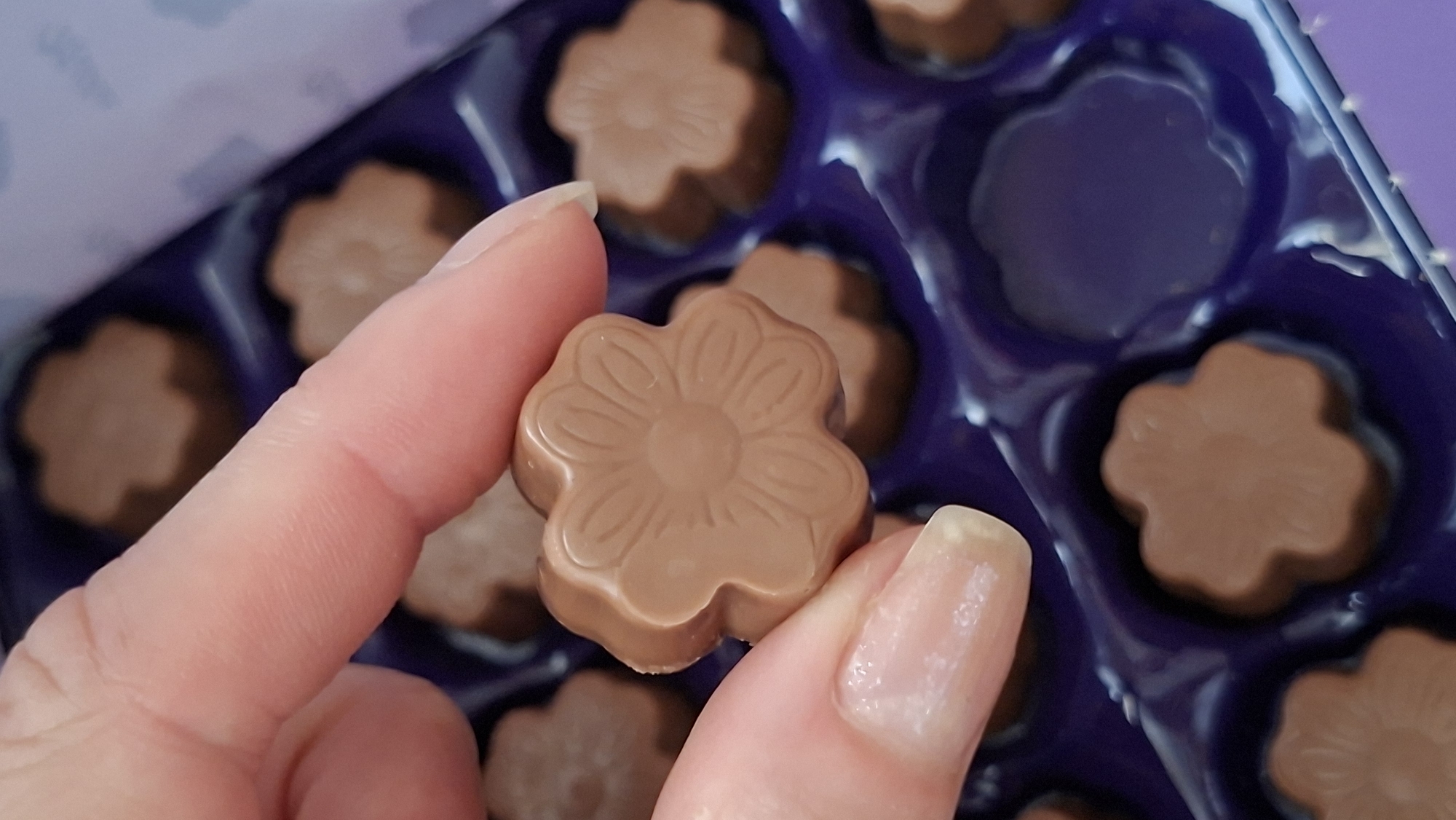 A person's hand, with painted nails, holds a single chocolate candy in the shape of a flower. The chocolate is light brown and has intricate detailing on its surface. The candy is being lifted from a purple plastic tray that contains many similar flower-shaped chocolates, some of which are partially obscured by the hand. The background is slightly out of focus, showing more of the chocolates and the packaging they are in. The scene is indoors, under bright lighting. The image does not contain any information that would allow for the identification of a specific location in Myadzyel, Belarus.