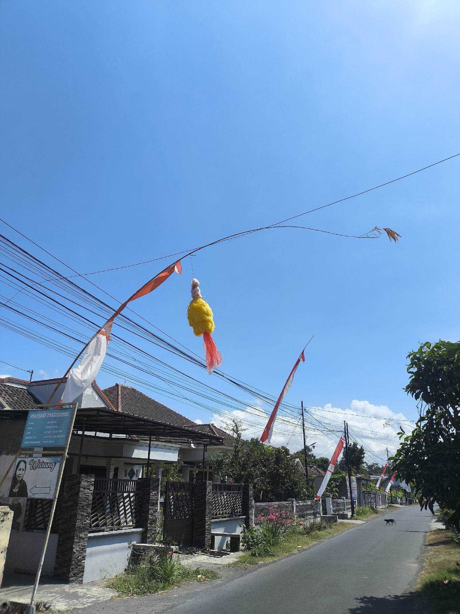 In the city of Kebonsari, Indonesia, a street scene unfolds under a clear blue sky. Overhead, a complex network of electrical wires crisscrosses the frame. Decorative flags, predominantly red and white, are strung between poles and on wires, fluttering in the breeze. One notable decoration is a bright yellow and red object suspended from a wire, appearing festive and perhaps a traditional ornament.
Along the left side of the road, a building with a tiled roof is visible, partially obscured by the overhead wires. A sign attached to a pole in front of the building displays text and an image of a woman. The sign appears to be for a traditional establishment, with the word "Warung" prominently displayed. The building is fronted by a stone wall with a decorative metal fence.
The road itself is paved and appears to be a local thoroughfare. Green vegetation, including trees and grass, lines the side of the road, adding to the natural environment. In the middle distance, more red and white flags are visible, suggesting a celebratory occasion. A black cat is seen walking on the road, adding a touch of everyday life to the scene. The overall impression is one of a tranquil, sunlit day in a residential area of Indonesia, marked by cultural decorations.