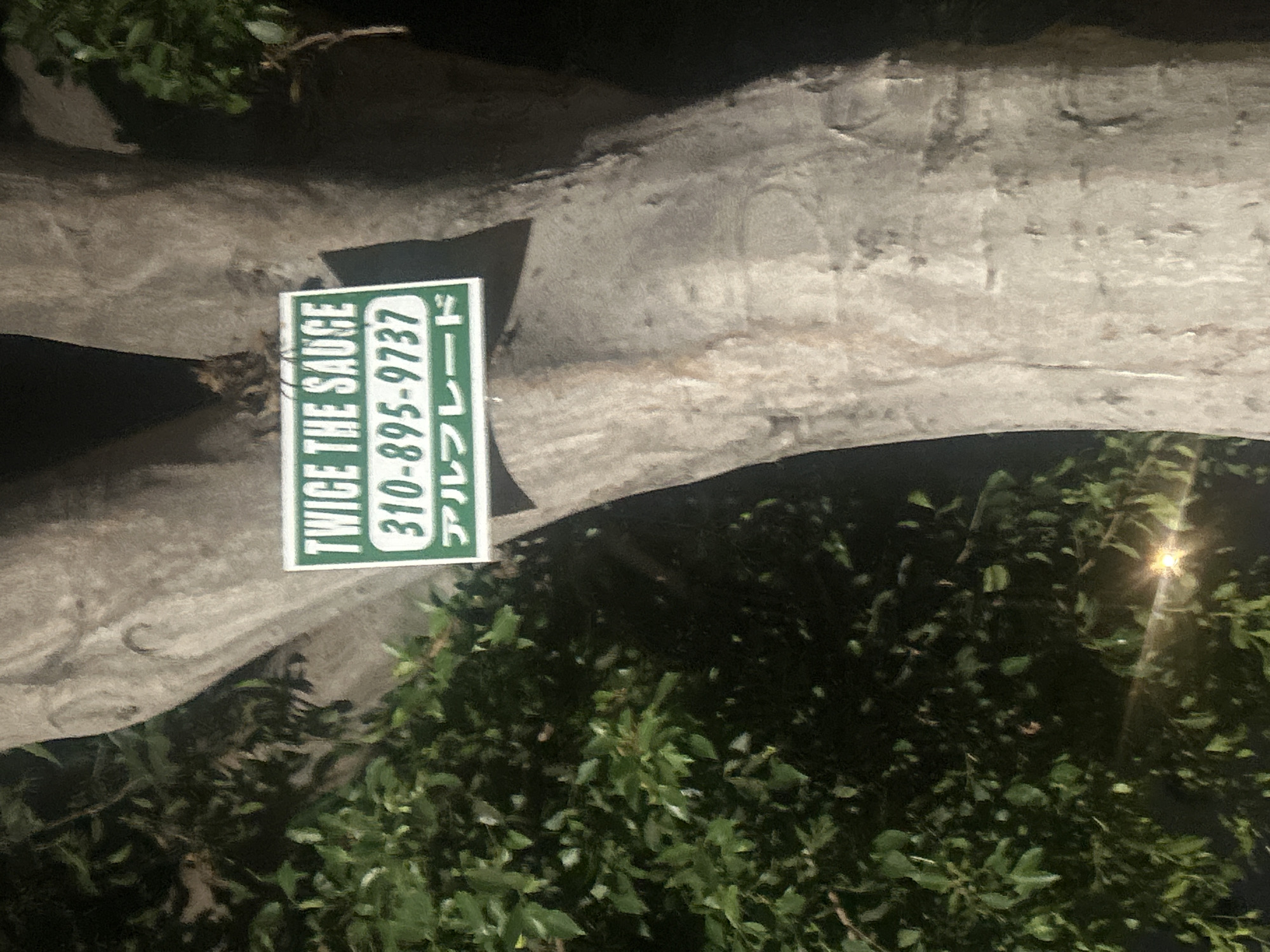 A sign with "TWICE THE SAUCE" and a phone number "310-895-9737" is attached to the trunk of a large tree. Below the phone number, there is Japanese text that appears to read "アルフレード" (Alfredo). The tree is surrounded by dense green foliage, and the scene is dimly lit, suggesting it is nighttime. The trunk of the tree is rough and textured. There is a bright light source, possibly a streetlamp, visible in the lower left portion of the image. This image was captured in Los Angeles, California, United States.
