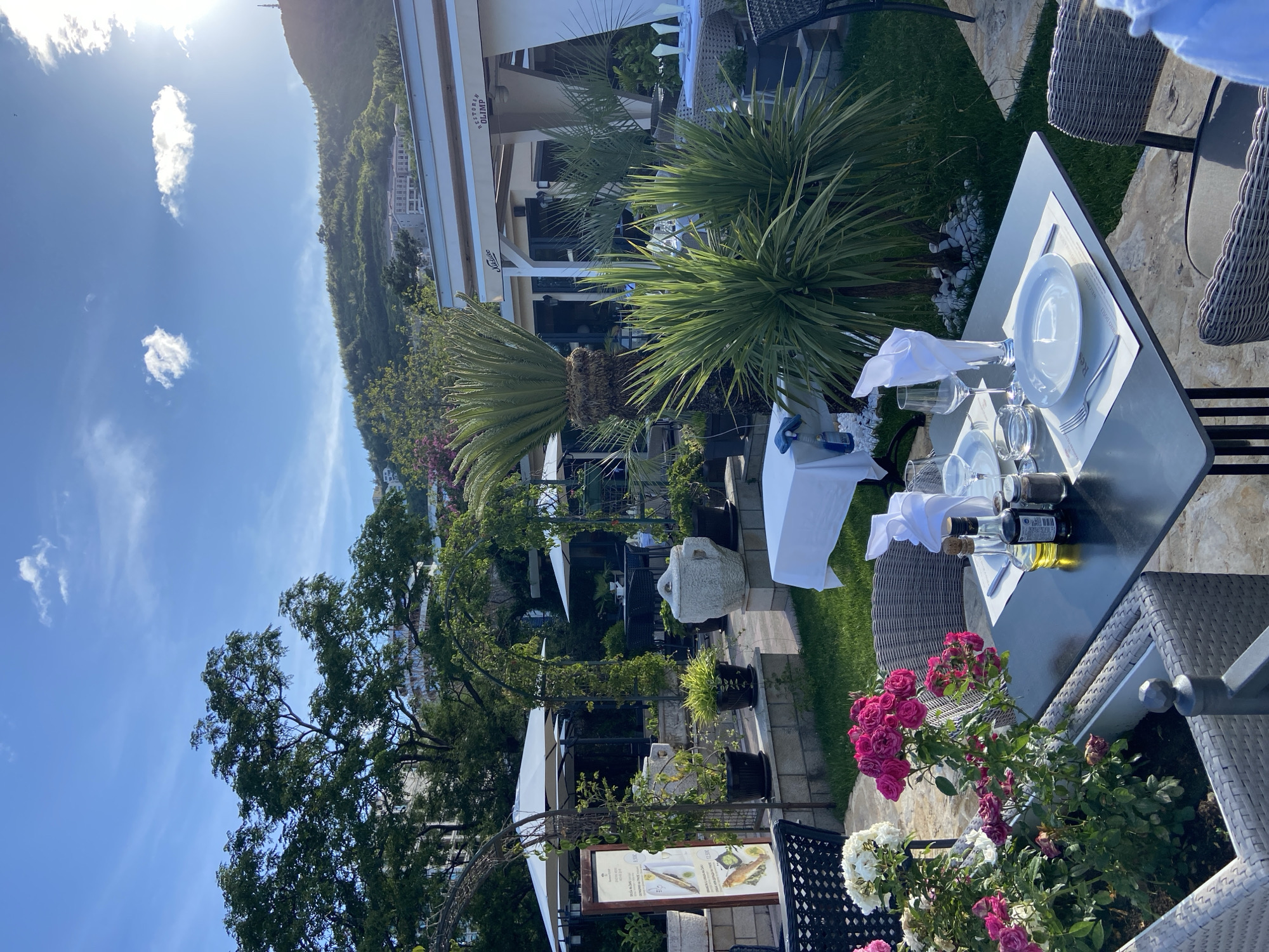 The image captures an inviting outdoor dining setting at a restaurant, likely in Budva, Montenegro, on a bright and sunny day.
In the foreground, a table is meticulously set for dining, featuring white plates, clear glasses, cutlery, and neatly folded white napkins. Bottles of olive oil and balsamic vinegar stand ready. The table is flanked by woven wicker chairs, and a vibrant bush of pink and white roses blooms in a planter nearby, adding a touch of natural beauty.
The midground reveals a well-maintained garden area with lush palm trees and various green plants, creating a serene ambiance. Several white awnings or pergolas provide shade for other dining tables and seating arrangements, suggesting an expansive outdoor restaurant space. A decorative, rustic stone urn sits amidst the greenery. A menu board, displaying appetizing images of food, particularly fish dishes, and some descriptive text, is also visible. Prominently displayed on one of the awnings are the words "RESTORAN OLIMP."
The background is dominated by majestic green, tree-covered mountains rising under a clear blue sky, dotted with scattered white clouds. Several buildings are nestled on the slopes of the mountains, hinting at a bustling but picturesque coastal town. The bright sunlight casts distinct shadows, indicating a pleasant mid-morning or afternoon. No people are visible, suggesting the scene is set either before service begins or during a quiet moment. The overall atmosphere is peaceful and prepared for a delightful dining experience.