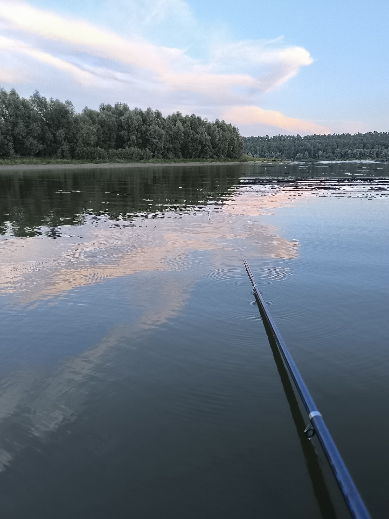 The image depicts a serene natural scene with a body of water, a forested shoreline, and a cloudy sky. In the foreground, a blue fishing rod extends into the water, with ripples emanating from its tip. The water's surface reflects the sky and the distant trees, creating a tranquil, almost surreal atmosphere. The shoreline is densely populated with trees, their green foliage contrasting with the soft hues of the sky. The clouds are wispy and painted with delicate shades of pink and white, suggesting either dawn or dusk. There are no people or man-made structures visible in the immediate vicinity, contributing to the overall sense of peace and isolation. The location is identified as being in Unknown, Unknown.