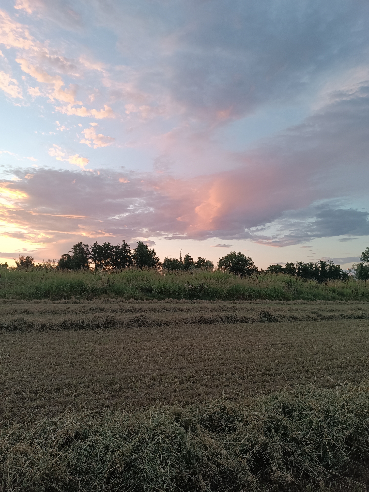 The image depicts a rural landscape at dusk, with a field of cut hay in the foreground and a line of trees and vegetation in the middle ground. The sky above is filled with a dramatic display of clouds, tinged with hues of pink, orange, and blue, indicative of a sunset or sunrise. The location is identified as being in the vicinity of Viadana, Italy. There are no people or discernible actions taking place. The environment is agricultural, characterized by the harvested field and the natural growth of trees and grass.