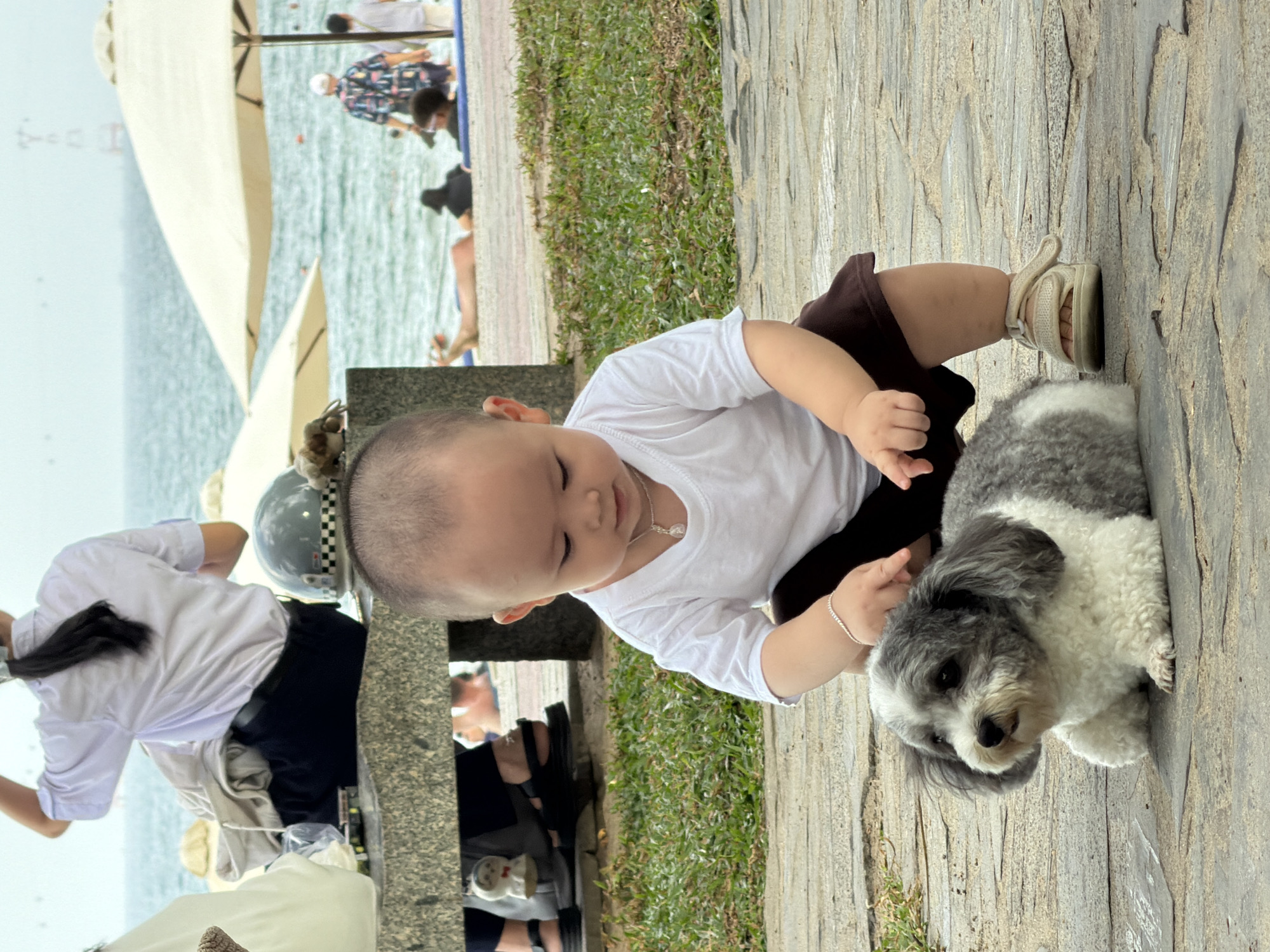 A young child in a white t-shirt and dark shorts is kneeling on a stone pathway, reaching out to pet a small, fluffy dog. The dog, with gray and white fur, is lying down on the pathway. In the background, people are visible on a beach, with umbrellas and the ocean beyond. The scene appears to be in Nha Trang, Vietnam, likely near the beach.