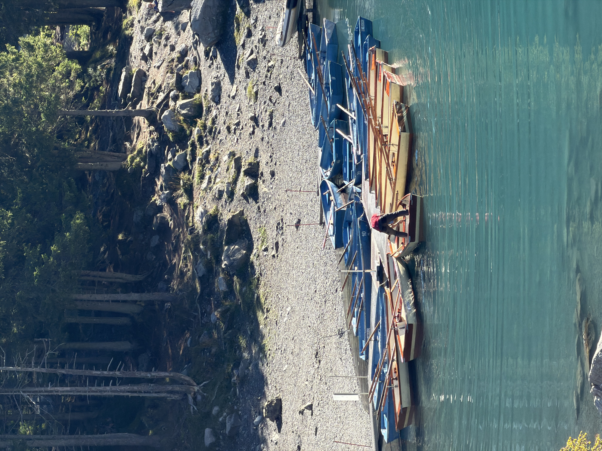 The image shows a fleet of wooden rowboats docked on the edge of a clear turquoise lake. The boats are lined up neatly, some with oars stowed inside. In the foreground, a person in a red shirt and dark pants is standing in one of the boats, appearing to be arranging equipment. The lake is calm, with gentle ripples reflecting the sunlight. Behind the boats, a pebble beach slopes up to a wooded hillside. The trees are tall and slender, with dense green foliage at the top and bare trunks lower down. The ground is covered in rocks and sparse vegetation. The scene is bathed in bright sunlight, casting shadows on the hillside. The location is likely Oeschinensee, near Kandersteg, Switzerland, a popular tourist destination known for its stunning alpine scenery and lake activities.