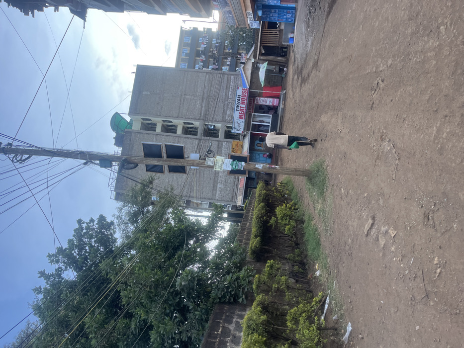 This vertically oriented media file depicts an outdoor street scene in Gitothua ward, Kenya, during the daytime under a bright, partly cloudy sky.
The scene features an unpaved, dusty road on the right side of the frame, showing signs of foot traffic and uneven terrain. A tall, sturdy wooden utility pole stands centrally, heavily laden with a complex and dense array of electrical and communication wires that crisscross the upper left portion of the image. Numerous small, unreadable flyers and posters are affixed to this pole.
In the midground, a person, possibly male, is seen walking away from the camera along the dirt road. They are wearing light-colored clothing and holding a bright green object in their left hand. To the right of the walking person, bordering the road, there is a low-lying hedge row with manicured bushes, behind which a dark wall is visible.
On the left side of the frame, several multi-story buildings form the backdrop. One prominent building has a gray, unfinished concrete exterior with several windows covered by dark panels. Below this building, at ground level, are commercial establishments. A shop is clearly visible with a sign that reads "TIKVAH MEAT HOUSE" in white and red text on a blue background. Other smaller shops or stalls are also present. Further back, another multi-story residential building with numerous balconies can be seen. Large, leafy green trees with dense foliage are prominent on the left, partially obscuring the buildings and interacting with the overhead wires. The overall impression is that of a bustling, semi-urban environment.
