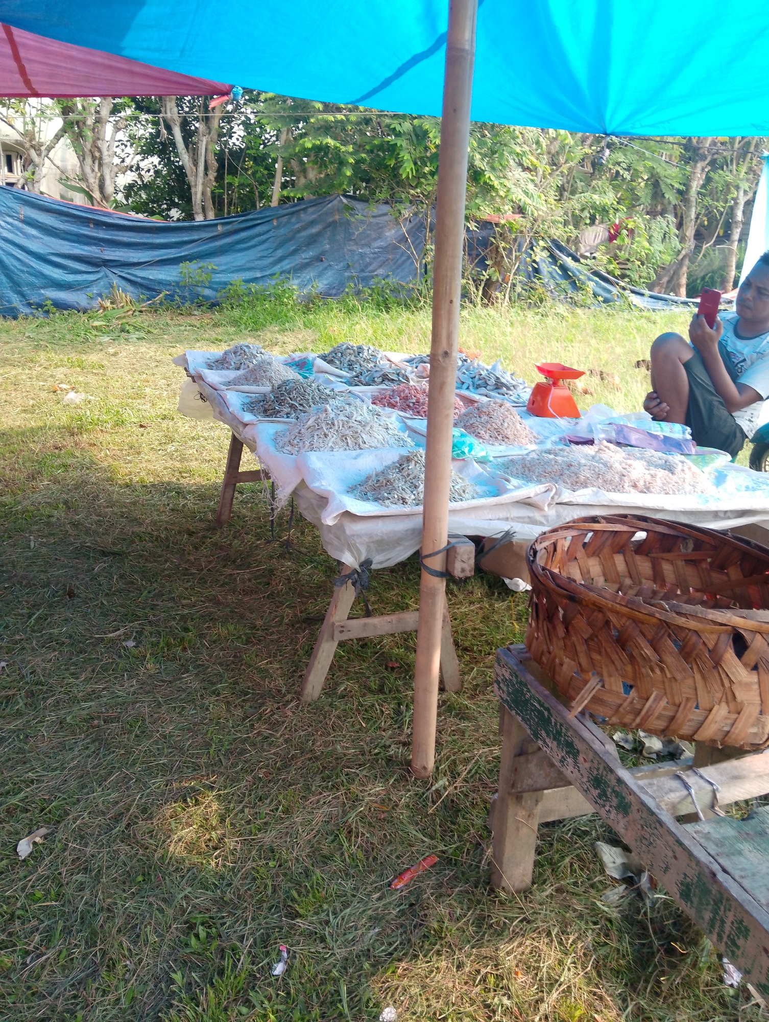 An outdoor market stall is set up under a blue and burgundy tarp. A variety of dried fish and shrimp are displayed in piles on a long, white-covered table. A bright orange scale sits on the table, suggesting transactions are taking place. A person, likely the vendor, is seated to the right, looking at a red mobile phone. Behind the stall, a dark blue tarp is draped, and beyond that, trees and vegetation are visible, indicating a rural or semi-rural setting. In the foreground, a woven basket sits on a wooden bench, and the ground is covered in dry grass. The scene appears to be in Serbelawan, Indonesia, based on contextual information.
