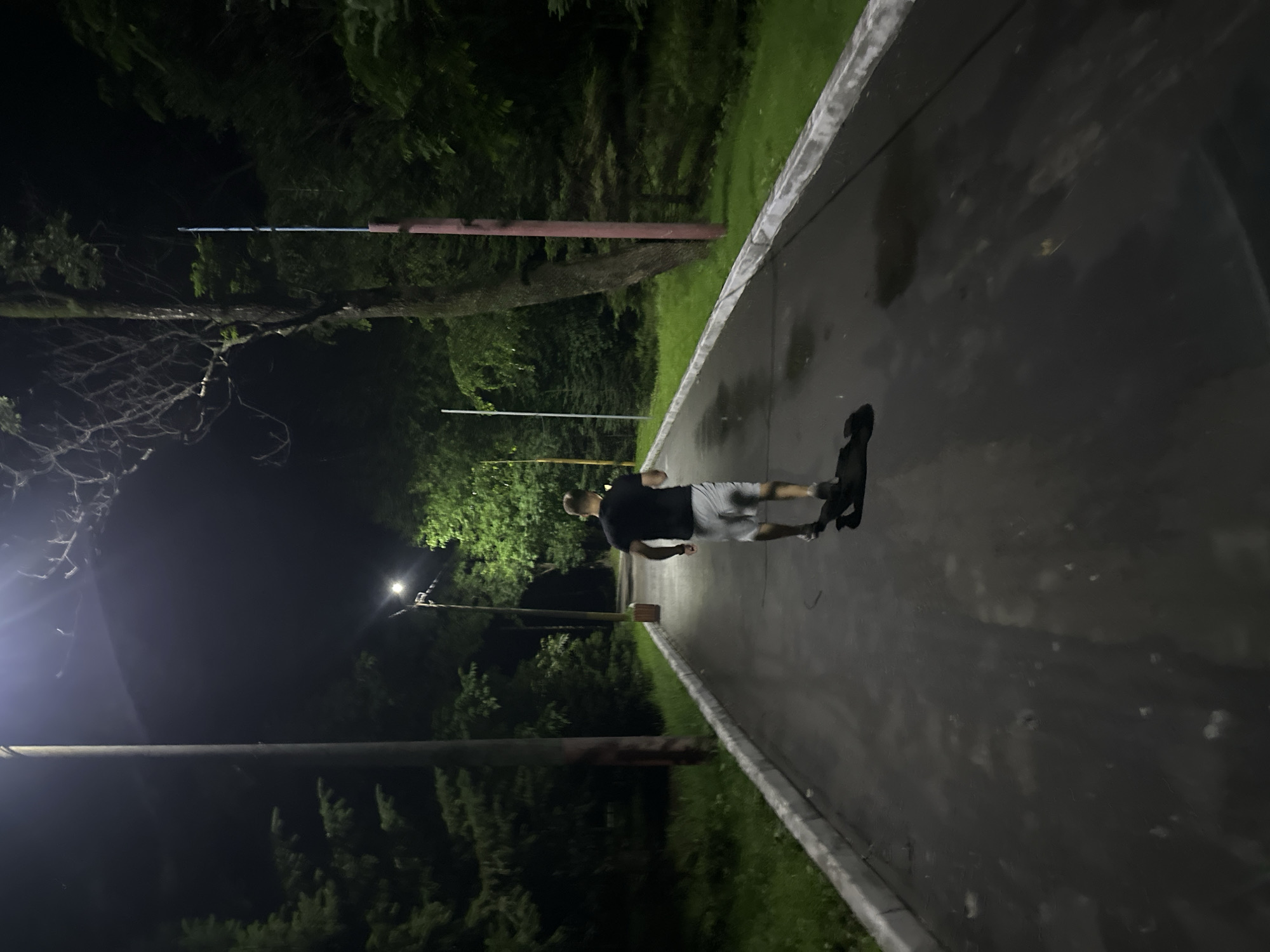 The image depicts a person skateboarding on a wet asphalt path at night. The setting is outdoors, with a grassy area and dense trees on the left, and a concrete curb separating the path from the grass. Streetlights are visible, casting a glow and illuminating the scene. The time of day is clearly night, suggested by the darkness and the artificial lighting. The weather appears to be damp, as the asphalt surface is reflective, indicating it may have rained or is humid. The person is wearing a dark t-shirt and light-colored shorts, and is in motion, with their body angled as if pushing off the ground or gliding. A black object, possibly a backpack or a dog, is also visible on the skateboard behind the person. The overall mood is calm and solitary, with the focus on the individual's activity. There is no visible text in the image. The context of Birobidzhan, Russia, places this scene in a specific geographical location, though no overt location cues are visible within the frame itself.