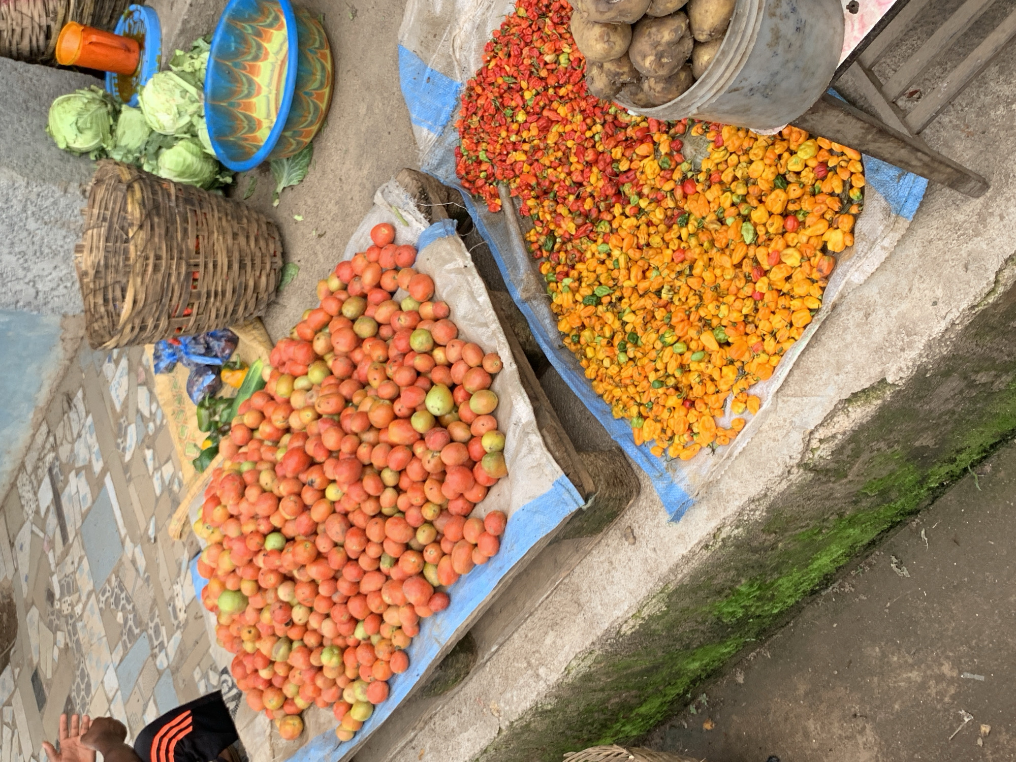 A market stall in Jos, Nigeria, displays a variety of fresh produce. In the foreground, a large pile of ripe tomatoes sits on a blue and white tarp spread over wooden pallets. To the right of the tomatoes are two large mounds of small, brightly colored peppers, predominantly yellow and red, also on a tarp. Beside the peppers, a metal bucket contains a pile of potatoes. In the background, a large woven basket and several heads of cabbage are visible. A blue and orange patterned bowl is also present. The ground appears to be a mixture of concrete and dirt, with some moss growing on a low concrete barrier. A person's legs, wearing black athletic pants with orange stripes, are visible on the left side of the image, suggesting a vendor or customer. The overall impression is that of a bustling outdoor market scene.