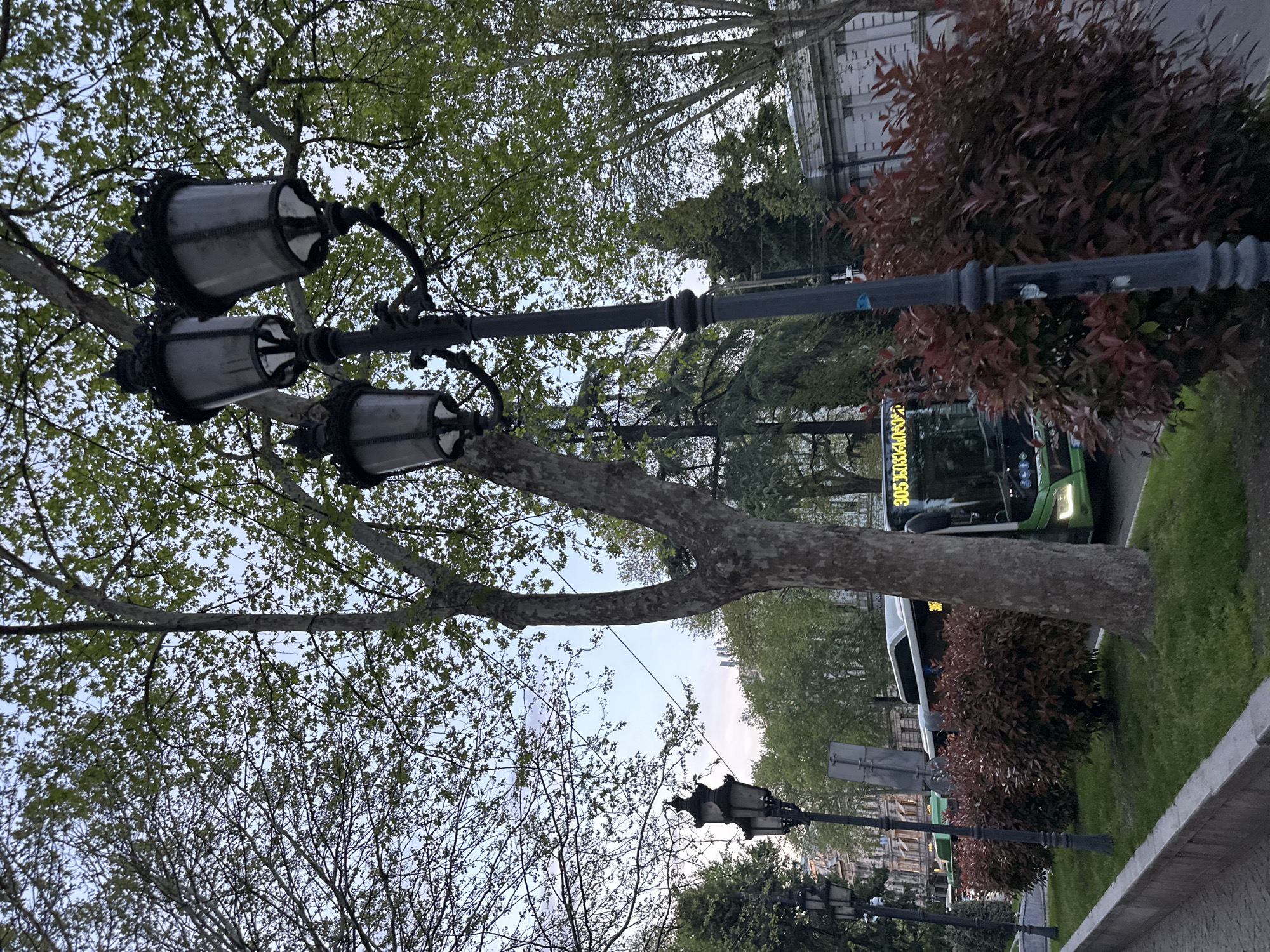 A low-angle shot captures a street scene in Tbilisi, Georgia. A black, ornate, three-lamp lamppost stands prominently to the left, partially obscured by tree branches with light green leaves. Another similar lamppost is visible in the distance, along with more trees lining the street. Behind the lamppost and foliage, a green city bus with the number "305" displayed is partially visible. To the right, a bush with red-brown leaves adds a contrasting color to the scene. A low concrete barrier runs along the right edge of the frame. The sky is visible through the trees, suggesting a partly cloudy day.