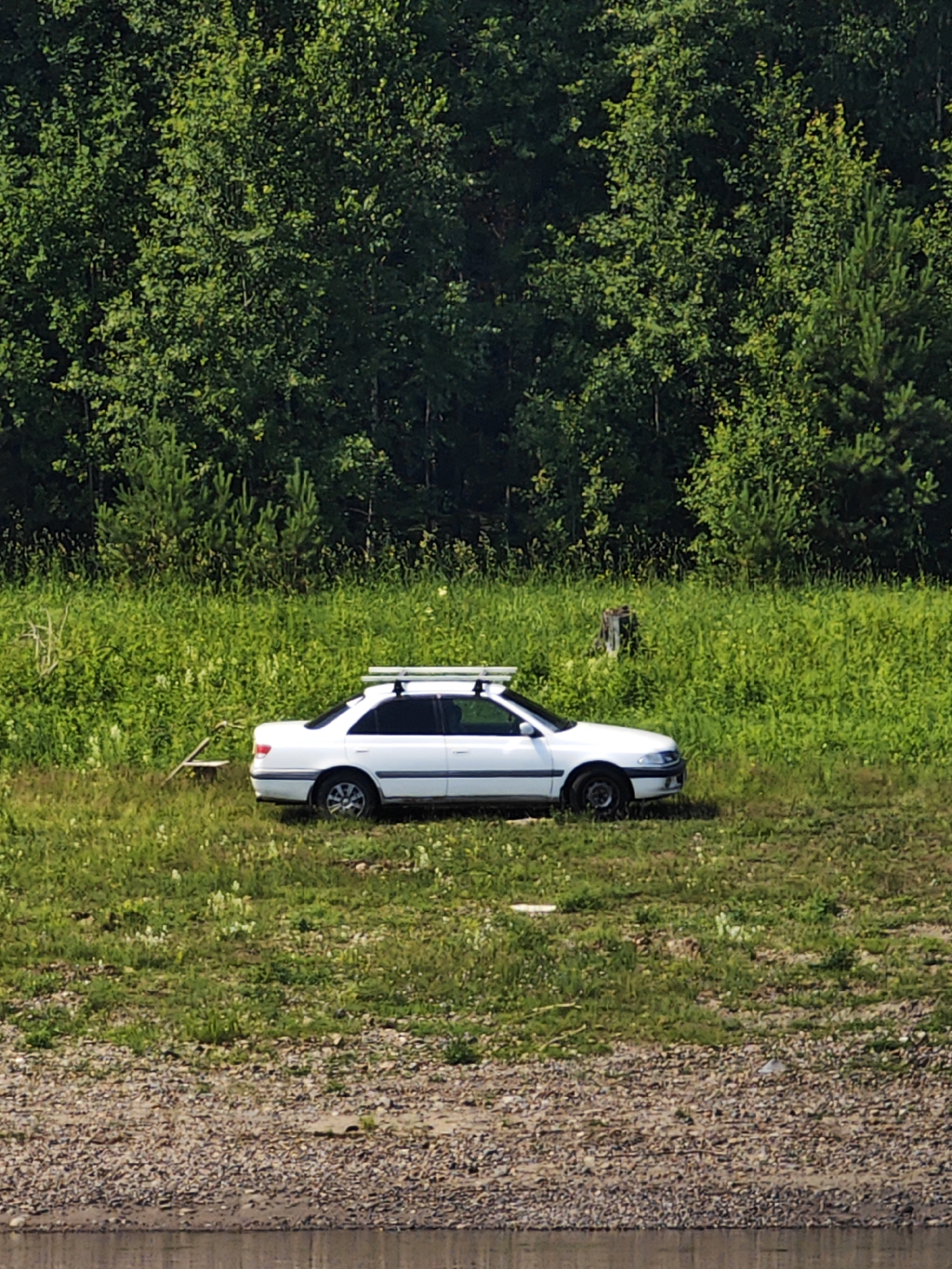 A white sedan with a roof rack is parked on a grassy embankment. The car is facing to the right. Behind the car, a dense forest of green trees forms a backdrop. In front of the car, the embankment slopes down towards a body of water, with a rocky shoreline visible at the bottom of the image. The scene appears to be a natural landscape, possibly a park or a roadside in a rural area. There are no people visible in the image. The weather appears to be clear and sunny, judging by the bright lighting and the vibrant green of the vegetation. The location is identified as Pogodaevo, Russia.