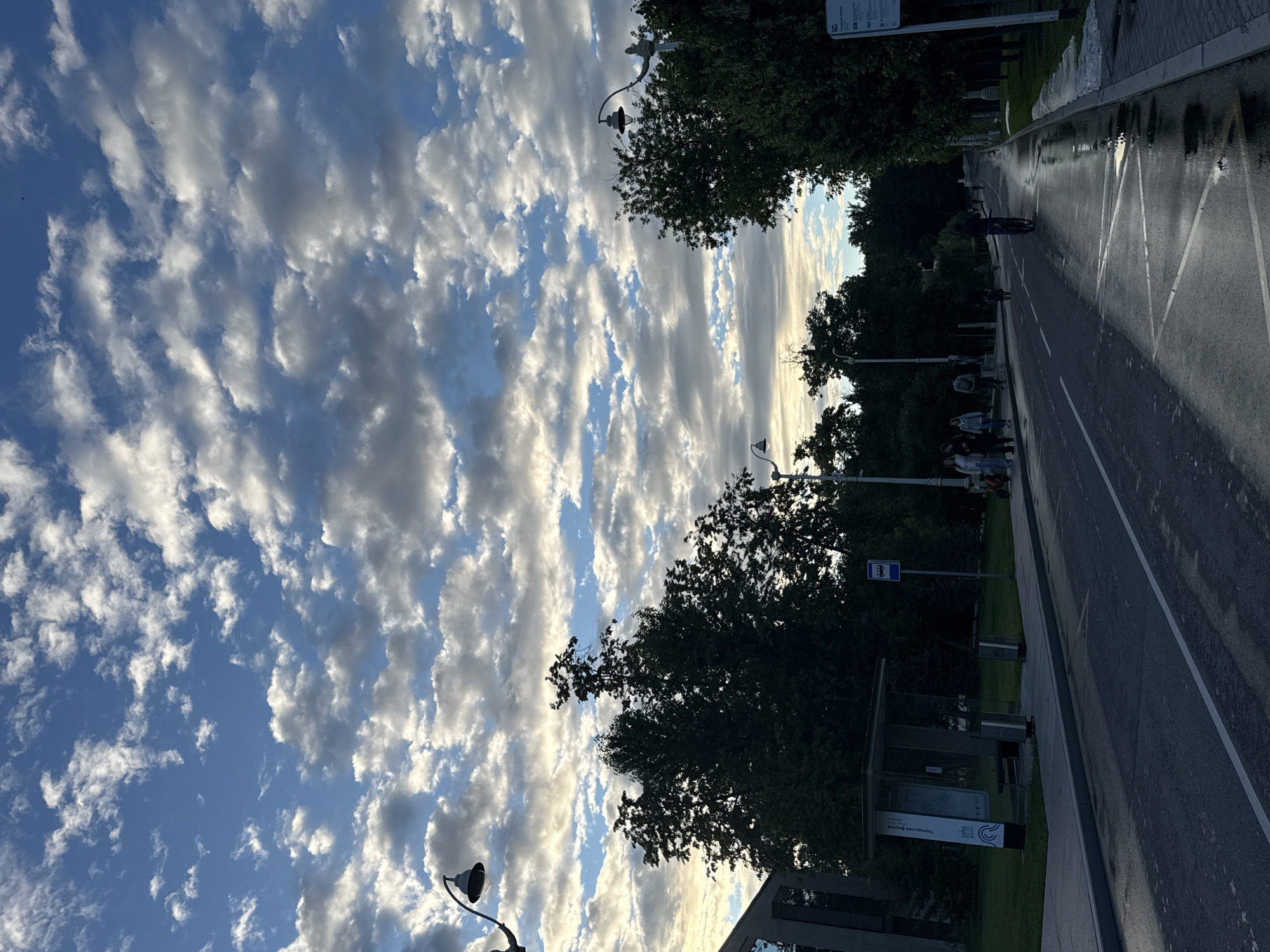 A vertically oriented, outdoor photograph depicts a street scene bathed in the soft light of what appears to be late afternoon or early evening. The sky is a prominent feature, filled with a dramatic expanse of cumulus clouds, some illuminated by the sun, creating a textured and dynamic backdrop against the blue.
The scene is set along a wet asphalt road, suggesting recent rain. The road has clear white markings, including a bicycle lane indicated by a bicycle symbol. Several individuals are visible: one person rides a bicycle on the road, and a small group of people stand near a bus stop on the sidewalk. The bus stop itself is a modern, open-air shelter with seating and signage.
Lush green trees line the sidewalk, their leaves dark against the brighter sky. Two ornate streetlights stand on elegant posts, adding a touch of classic design to the contemporary setting. The overall atmosphere is calm and serene, with the natural beauty of the sky contrasting with the urban environment.
Visible text on a sign at the bus stop is partially obscured but appears to be in Russian. One sign reads "Городская ферма" which translates to "City Farm." The presence of the bus stop and street signage indicates a public urban space, likely a park or a residential area with good public transportation access. The wet road and overcast but bright sky suggest a day that has experienced rain but is now clearing up, with the sun breaking through the clouds.