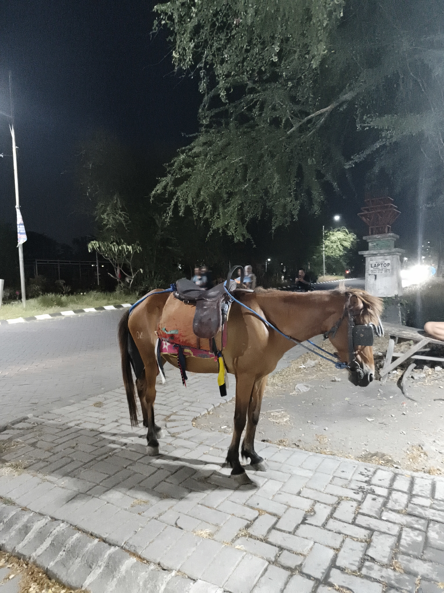 A brown horse with a saddle is standing on a brick pathway next to a road at night in Petiken, Indonesia. The horse is wearing a bridle and is tethered with blue rope. A colorful saddle pad is visible under the saddle. In the background, trees line the road, and a street light illuminates the scene. A sign on a concrete structure reads "DICARI LAPTOP 0823 3727 0875". Several people are visible in the background, some standing and others possibly in vehicles. The pathway is made of gray bricks, and there are fallen leaves on the ground. The road is paved and appears to be asphalt.