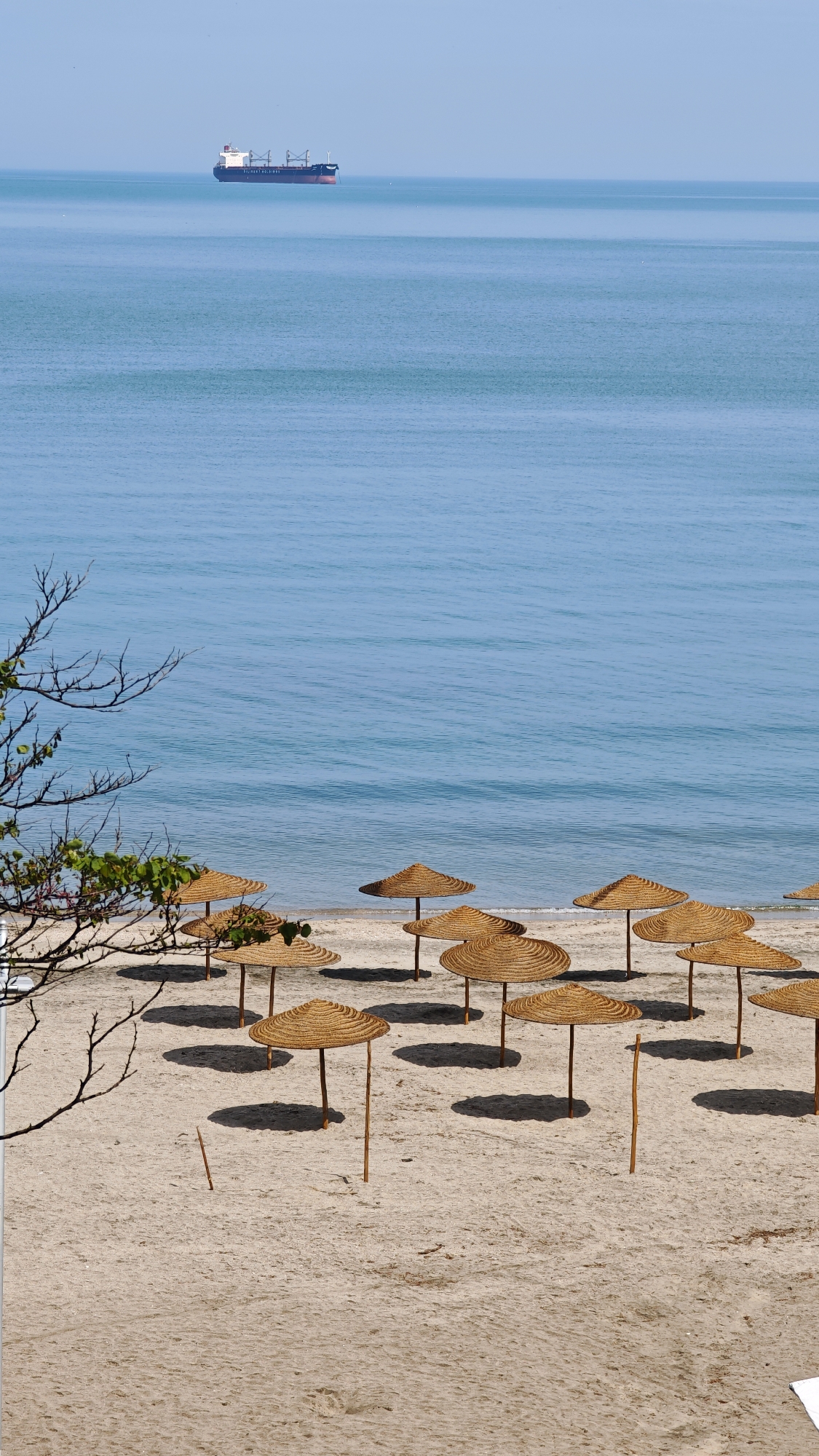 The image depicts a sandy beach scene with numerous straw umbrellas providing shade. In the background, a calm, light blue sea stretches towards the horizon under a clear, bright sky. A large cargo ship is visible on the horizon. In the foreground, a tree with bare branches and sparse leaves is partially visible. The scene is likely in Burgas, Bulgaria, a coastal city. The umbrellas are arranged somewhat evenly across the beach, creating a geometric pattern of sun and shadow on the sand. No people are immediately visible in the photograph.