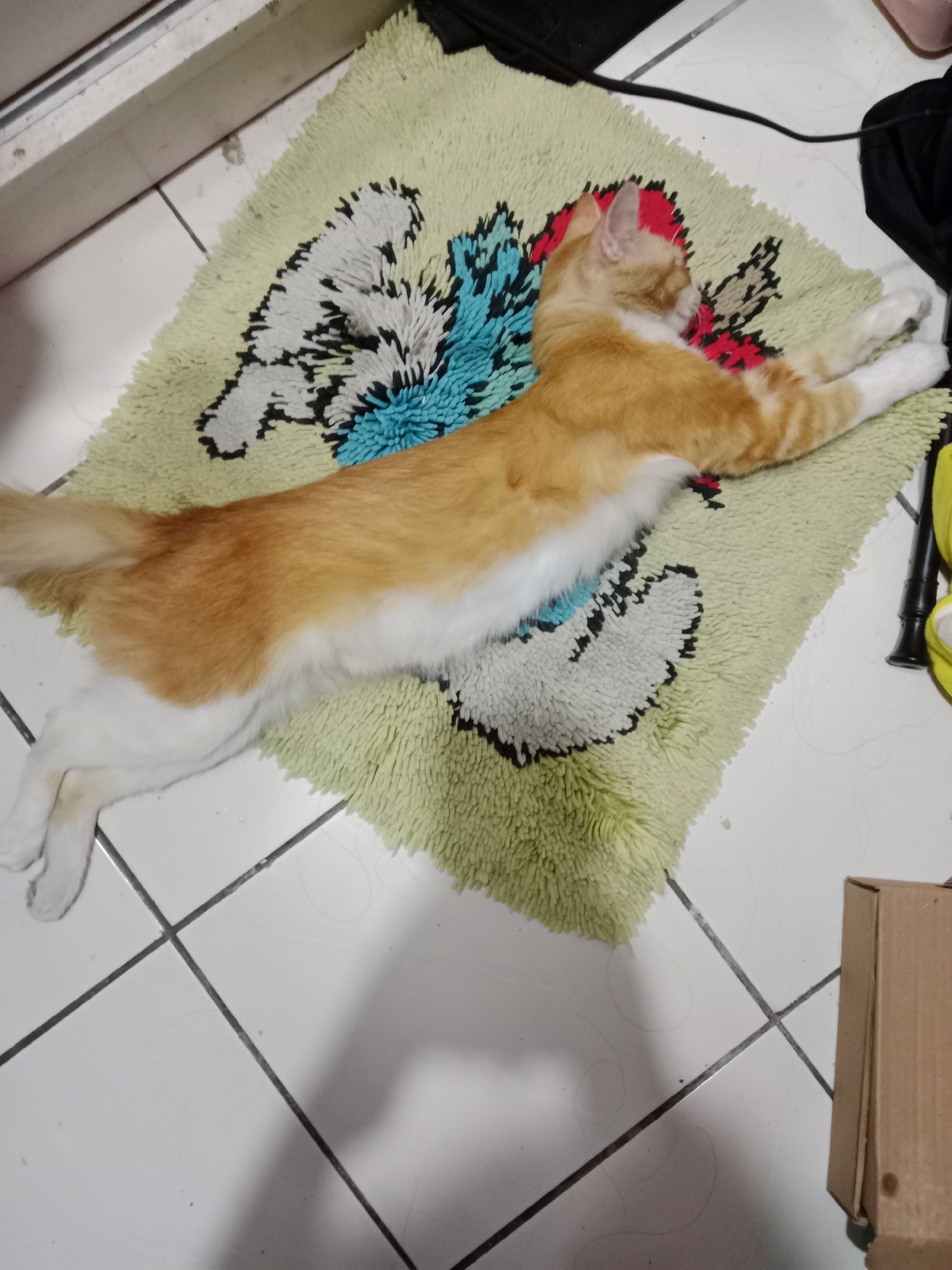 An orange and white cat is stretched out on a light green rug with a floral pattern. The rug is placed on a white tiled floor. The cat is lying on its side, with its front paws extended and its body elongated. The cat's tail is visible, extended behind it. The background is slightly blurred, but suggests an indoor setting, possibly a home. The image does not contain any information that would allow for its location to be identified as being in Bandung City, Indonesia.