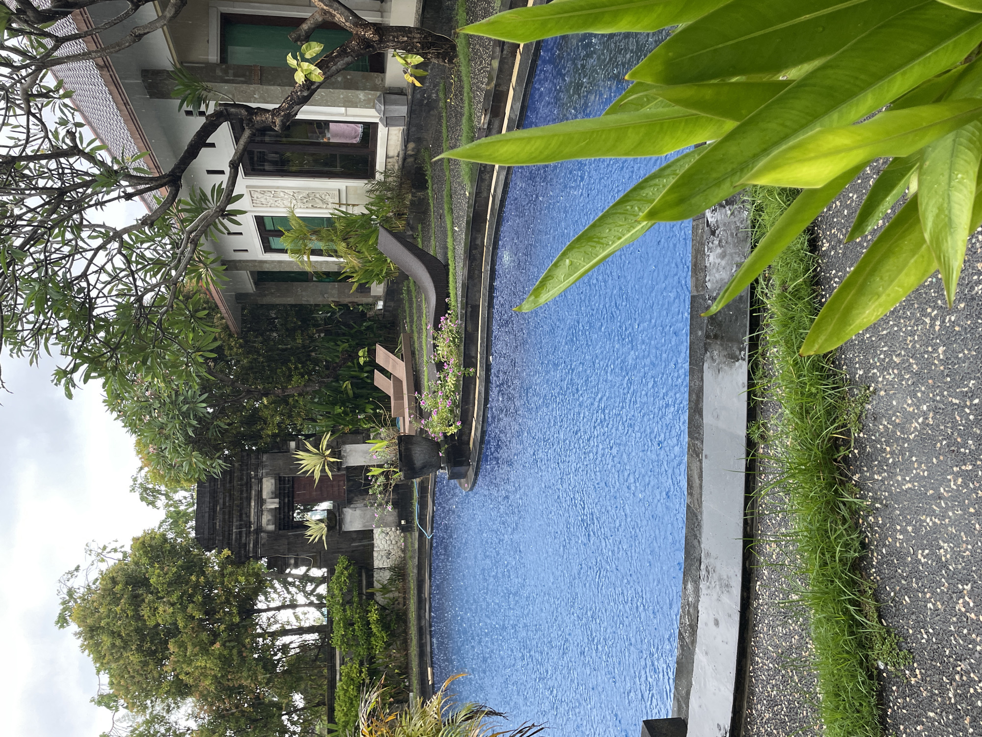 This media file presents an outdoor scene at what appears to be a resort or private villa in Kuta Selatan, Indonesia, captured during a rain shower.
The central subject is a vibrant blue swimming pool, its surface covered with ripples and splashes from falling raindrops. The pool has dark grey or black coping around its edges. In the foreground, large, lush green leaves, likely from a tropical plant, partially obscure the right side of the view, showing visible water droplets on their surfaces. Adjacent to the pool, a narrow strip of bright green grass runs along a dark, speckled path or ground.
The background features a blend of architecture and abundant tropical foliage. To the left, a light-colored building with a traditional reddish-brown tiled roof is visible. It has dark-framed windows, some with green shutters, and ornate white relief carvings on its facade. A towel hangs inside one of the windows. Further left and slightly behind, a distinctive dark, multi-tiered structure, reminiscent of a Balinese temple or shrine, is nestled among dense green trees. Branches from a frangipani tree extend over the upper part of the light-colored building. Potted plants with small pink flowers and outdoor furniture, including a dark lounge chair, are visible near the pool's edge.
The sky is overcast and grey, indicating a cloudy or rainy day. The presence of raindrops on the water and leaves confirms the ongoing rainfall. No people are visible in the scene, and there is no discernible text. The overall atmosphere is tranquil and lush, characteristic of a tropical setting.