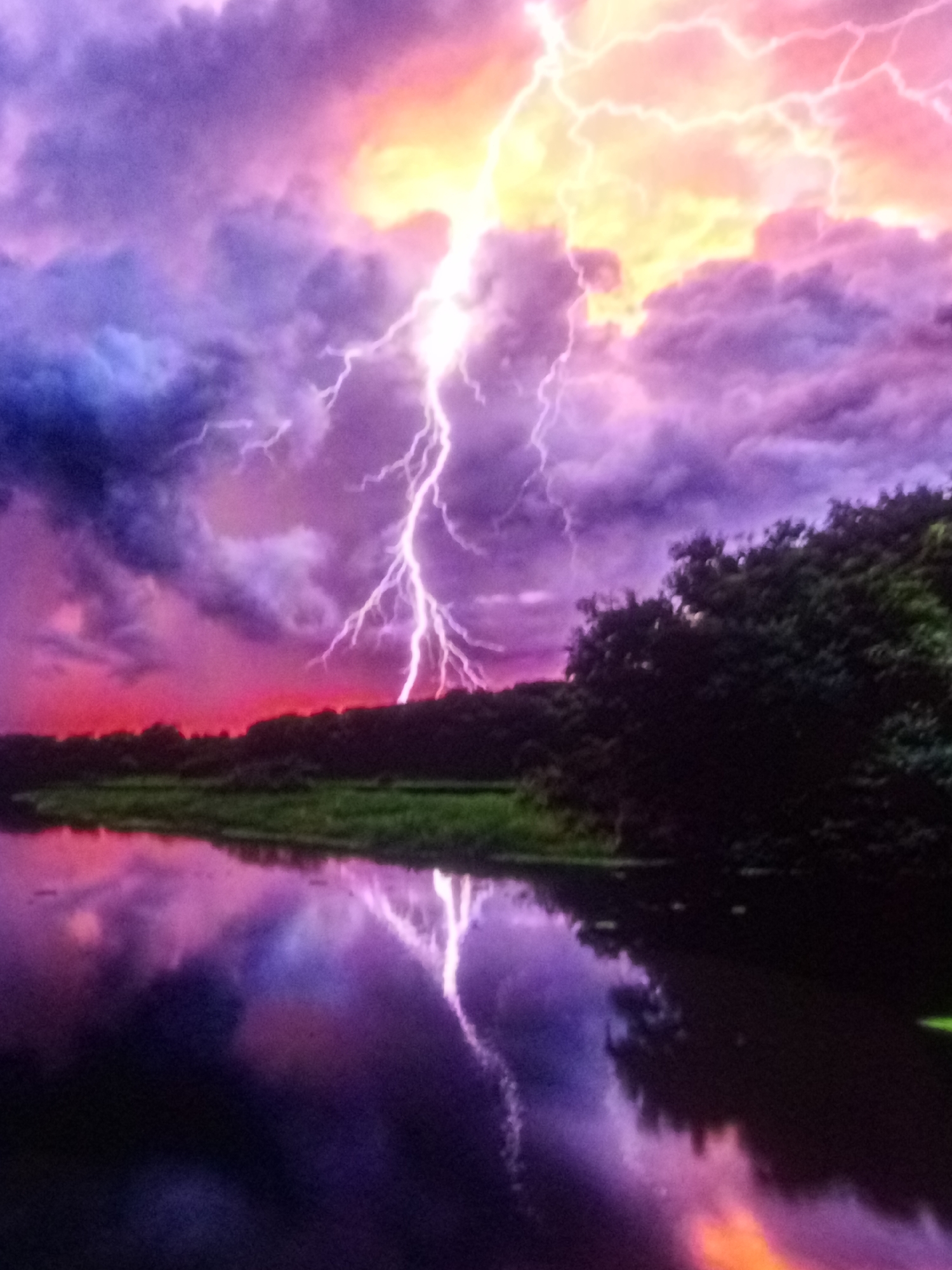 A dramatic lightning strike illuminates a stormy sky over a body of water. The sky is a vivid display of purple, pink, and yellow clouds, with jagged bolts of white lightning branching across the upper half of the frame. The lower half of the image shows a dark body of water, likely a river or lake, reflecting the colorful sky and the lightning. A dense line of dark trees forms the horizon between the sky and the water, with a strip of green grass visible in front of the trees on the right bank of the water. The overall scene is one of intense natural power and beauty.