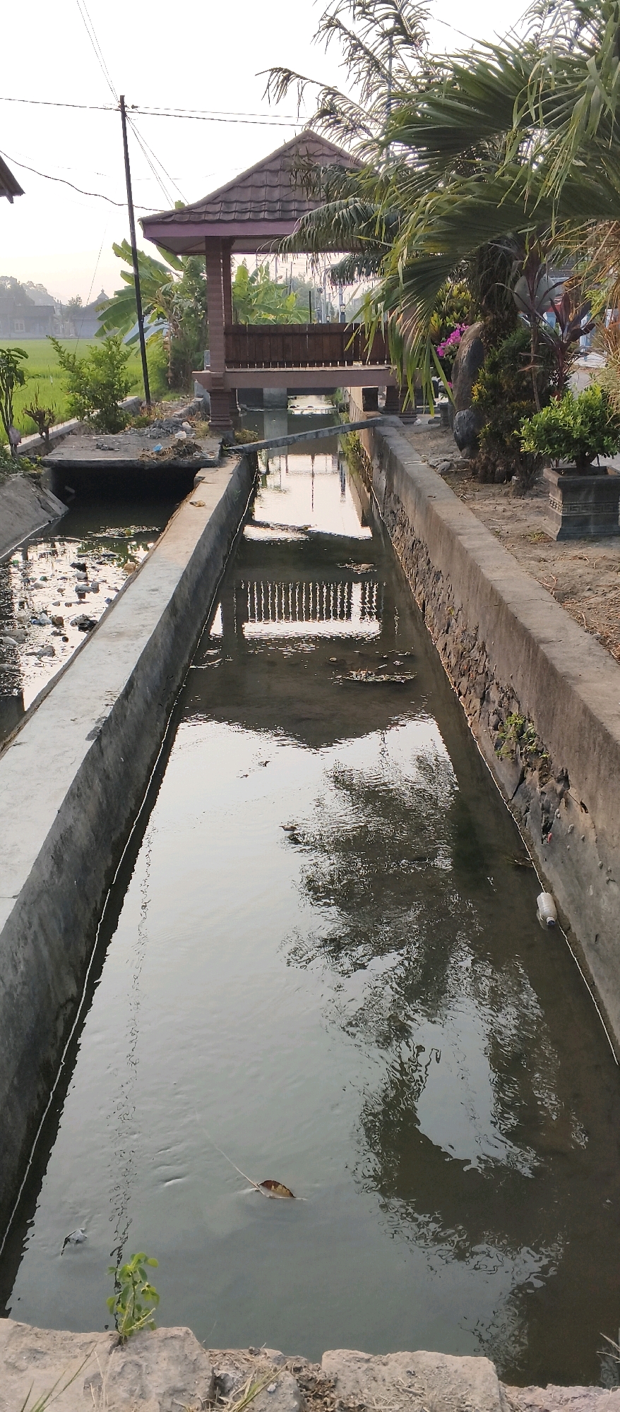 The image shows a canal with concrete banks, reflecting trees and a gazebo in the water. A single leaf floats on the surface of the canal. The canal is lined with concrete walls, with some rough stones visible on the right bank. In the background, a wooden gazebo with a tiled roof stands near a palm tree and other vegetation. A power pole with wires is also visible in the distance, as well as rice fields. The overall scene suggests a rural or semi-rural setting. The location is identified as Japanan, Indonesia. There are no people or animals clearly visible in the image.