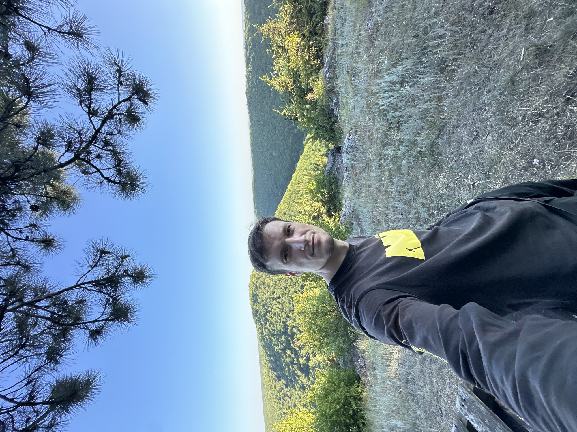 A young man with short brown hair, looking directly at the camera, is taking a selfie outdoors. He is wearing a black long-sleeved shirt with a yellow graphic on the chest. He is positioned on a grassy, rocky embankment overlooking a vast, densely forested valley under a clear blue sky. Pine branches with needles frame the top left of the image, obscuring some of the sky. The sun appears to be low in the sky, casting a warm light on the scene, suggesting it is either early morning or late afternoon. The overall atmosphere is peaceful and serene, with a sense of natural beauty and solitude. The location is identified as Pryvorottia Druhe, Ukraine.