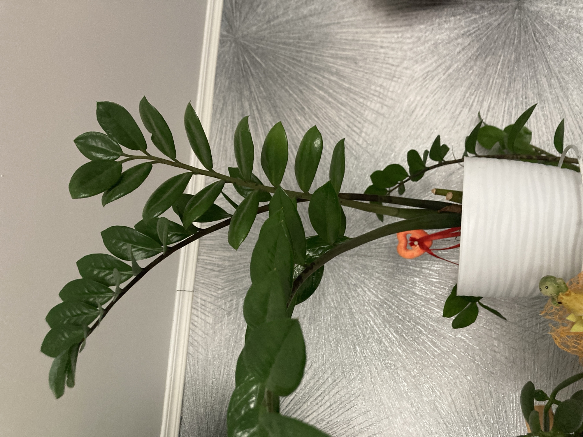 A ZZ plant, scientifically known as Zamioculcas zamiifolia, is pictured in a white textured pot. The plant has thick, waxy, dark green leaves arranged on upright stems. One stem curves upwards and to the left, displaying several pairs of ovate leaves. Another stem, to the right, also has leaves. A small, orange heart-shaped decoration with red ribbons is attached to one of the plant's stems, near the top of the pot. The background consists of a textured silver wallpaper with a radial sunburst pattern. The plant is positioned on a shelf, indicated by a white decorative molding along the top edge of the frame. In the lower left corner, a portion of another plant with trailing stems and leaves is visible. A small green ceramic turtle figurine is also present on the surface below the pot. This image was taken indoors in a domestic setting, and there is no information to suggest its location in Obukhovo, Russia.