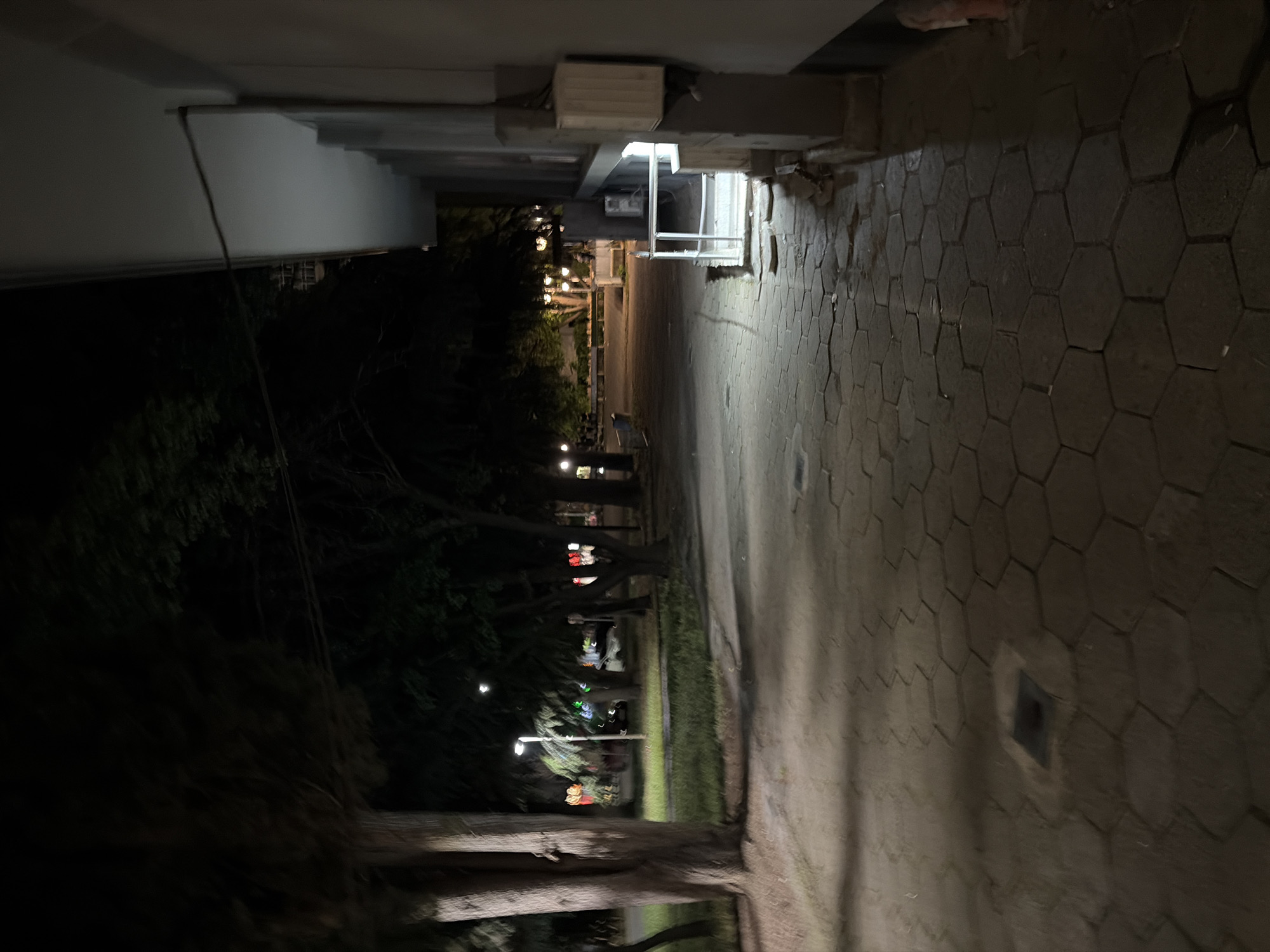 The image depicts an outdoor scene at night, likely a park or a walkway adjacent to a building. In the foreground, a paved walkway with hexagonal tiles stretches into the distance. The tiles are illuminated by artificial light, creating distinct shadows. To the left of the walkway, several trees with visible trunks are present, with some greenery above. Further back, there is a grassy area with more trees and streetlights casting pools of light. In the background, a building with a light-colored facade runs along the right side of the image, featuring an electrical box and a railing. The overall atmosphere is dimly lit and somewhat blurry, suggesting the photo was taken at night, possibly with a moving camera. There are no people clearly visible in the scene, though there are indications of distant figures or activity. The location is identified as being in the city of Stara Zagora, Bulgaria, though no specific landmarks within the city are identifiable from the image itself.