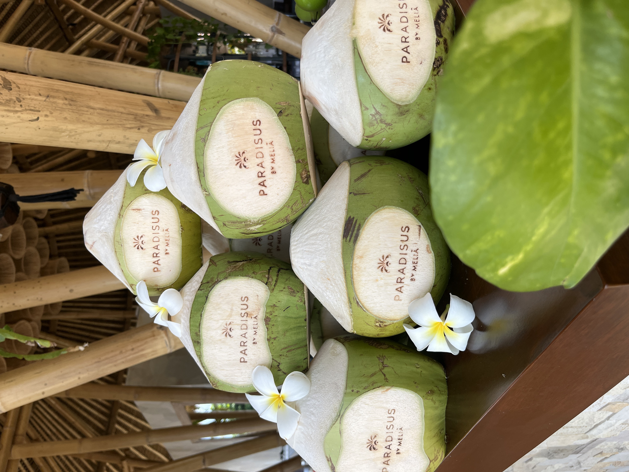 This is a medium shot, eye-level photograph of a stack of coconuts displayed on a wooden counter in Kuta Selatan, Indonesia. The coconuts are green with white tops and have an oval-shaped label on each with the text "PARADISUS BY MELIA" and a palm tree logo. Some of the coconuts are decorated with white flowers. In the background, there is a rustic bamboo structure, characteristic of Balinese architecture, and some greenery. A large, out-of-focus green leaf is in the foreground. The lighting is natural and soft, suggesting it might be daytime. There are no people visible in the image.