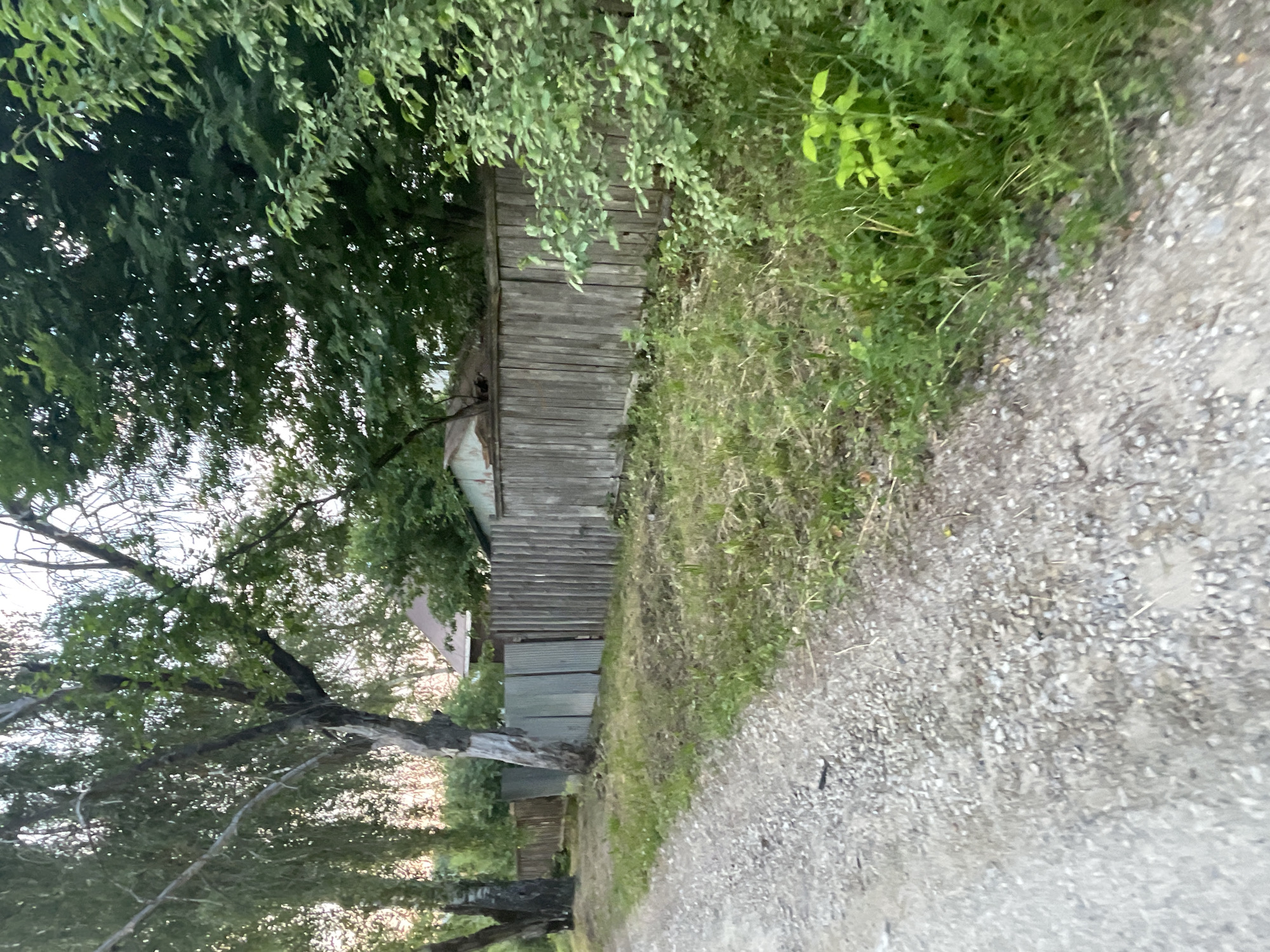 The image depicts a rural scene on a gravel road adjacent to a wooden fence. In the background, several trees with lush green foliage are visible, along with parts of houses and outbuildings. The overall impression is one of a quiet, possibly suburban or village setting. The specific location in the city of Krasnye Baki, Russia, is not visually discernible from the image itself but is provided as contextual information.
