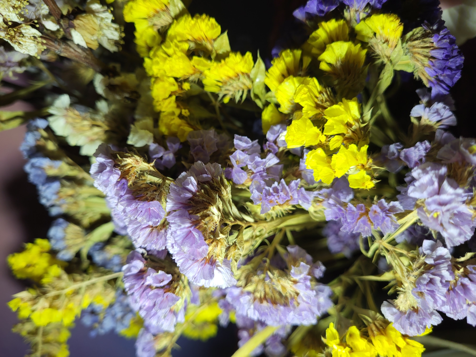 The image displays a close-up, detailed view of a bouquet of dried flowers, primarily in shades of yellow and purple, with some accents of white and blue. The flowers appear to be statice, characterized by their small, papery petals clustered on thin stems. The lighting suggests an indoor setting, possibly a home or a flower shop, with shadows cast on the background, creating a dramatic effect. The composition is focused on the texture and delicate nature of the dried blooms. There is no indication of any specific location within the city of Horishni Plavni, Ukraine, nor are there any people or actions depicted. The scene is static and focuses solely on the floral arrangement.