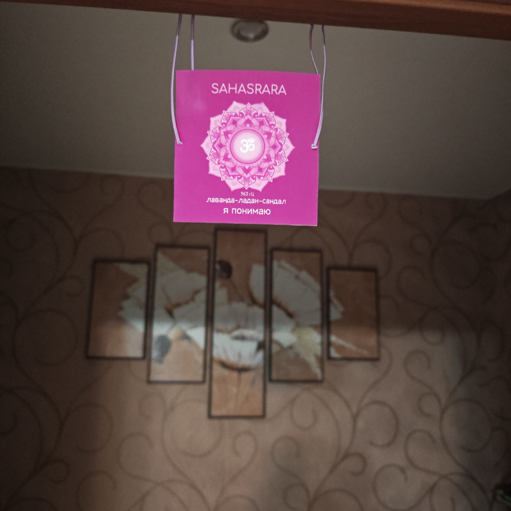 A pink sign reading "SAHASRARA" in English and containing Cyrillic script, an image of a flower, and an ohm symbol is hanging from the top of a door frame. The wall in the background is patterned with a scrolling floral design. There are five framed pieces of art depicting a swan on the wall behind the sign. This image was taken in Rostov, Russia.