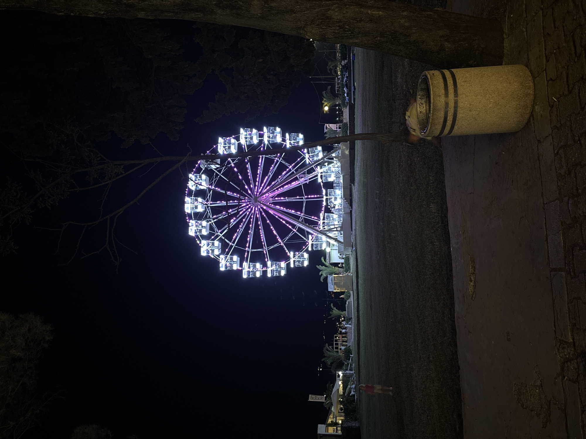 A Ferris wheel illuminated with purple and white lights dominates the night sky above a park in Budva, Montenegro. The wheel is a large, circular structure with numerous cabins, and it appears to be in operation. In the foreground, a young child in a red shirt and light-colored shorts stands on a grassy area. To the right, a textured trash receptacle is visible next to a tree trunk. In the background, there are some buildings and palm trees, suggesting a coastal location. The overall scene depicts a nighttime amusement or recreational area.