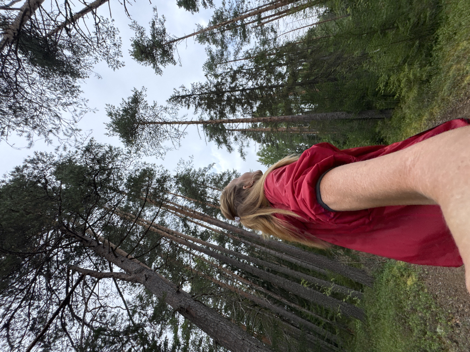 A woman with blonde hair pulled back in a bun and wearing a red jacket is standing in a forest, looking up at the trees. The camera is pointed upwards, emphasizing the height of the pine trees. The ground is covered with moss and small plants. The sky is overcast.