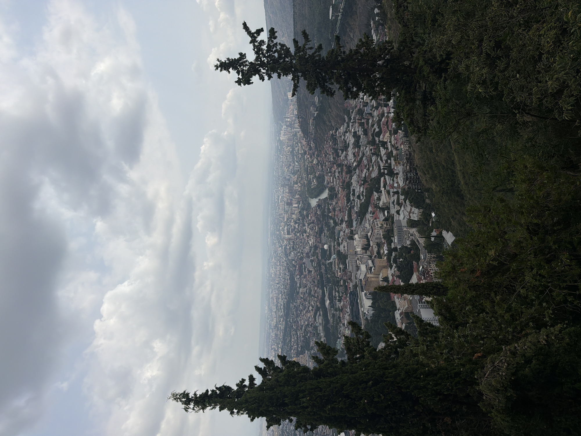 The image shows a panoramic view of the city of Tbilisi, Georgia, from a high vantage point. In the foreground, two large evergreen trees dominate the left and right sides of the frame, partially obscuring the cityscape. The trees are tall and slender with dense foliage. The background reveals a sprawling urban landscape with a dense concentration of buildings of varying architectural styles and heights, indicative of a city. A river, likely the Mtkvari River, can be seen winding through the city. The sky is overcast with scattered clouds, suggesting a diffused natural light. The overall scene depicts a vast urban expanse seen from a natural, elevated position.