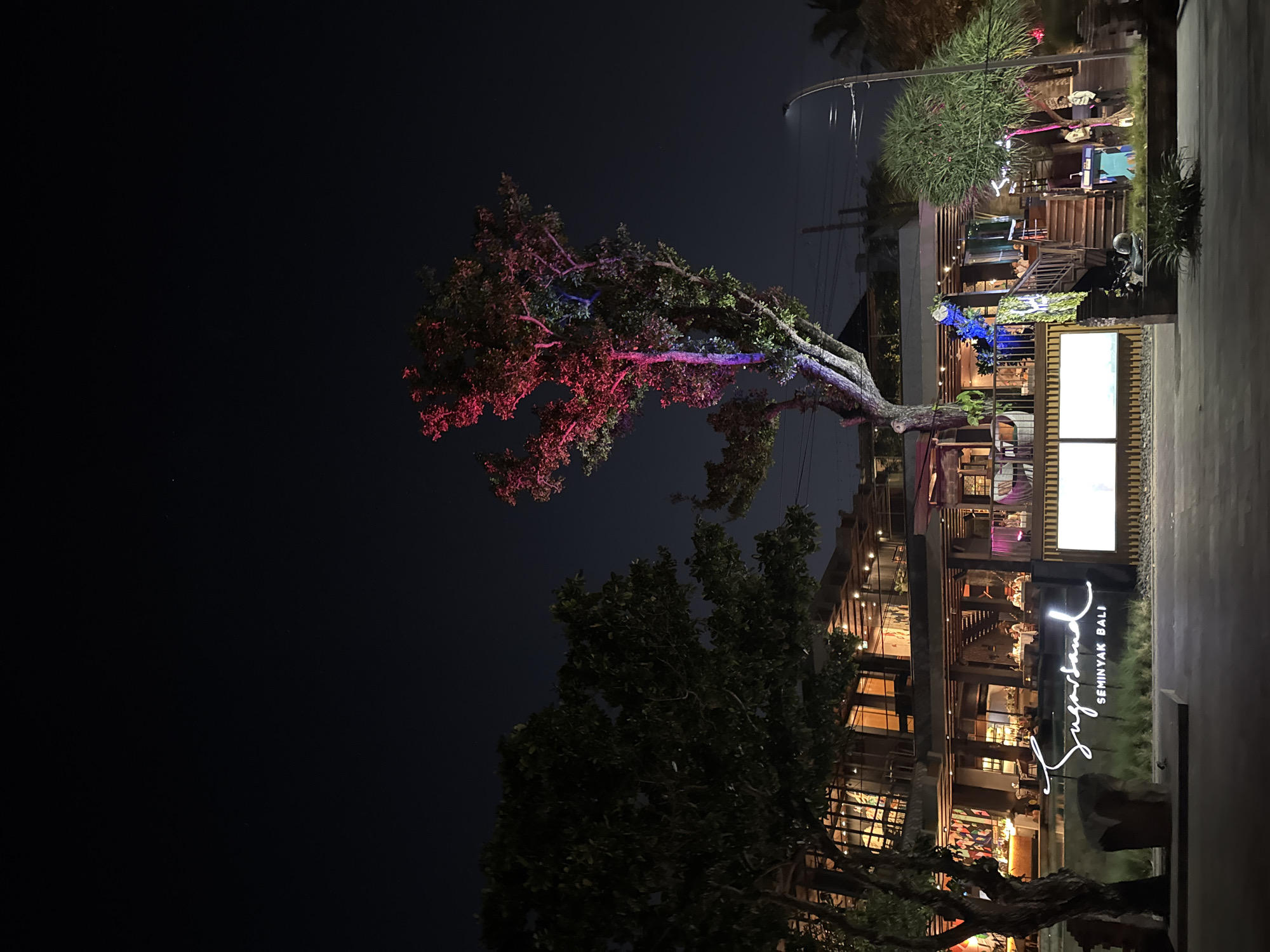 In Kuta, Indonesia, at night, a multi-story building with an open-air design is illuminated. The building features glass windows and balconies, and appears to be a restaurant or bar, with tables and patrons visible inside. A large tree with red and blue lighting projected onto its leaves stands in front of the building, near a prominent neon sign that reads "Sugarsand SEMINYAK BALI". Another tree with lush green foliage is situated to the right of the building, near a street lamp. The sky above is dark, with a few faint stars visible.