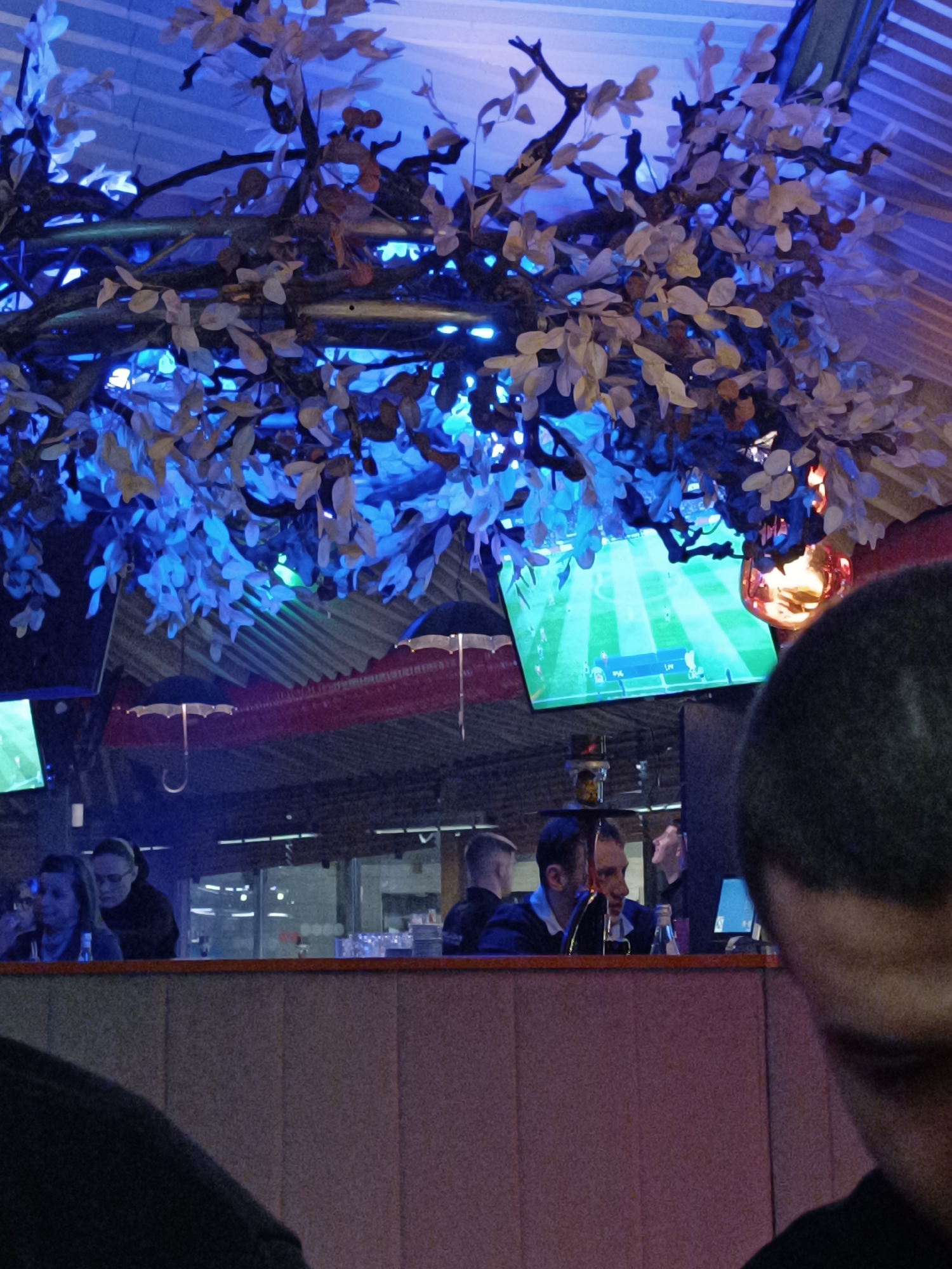 The image appears to be taken inside a bar or restaurant in Sofia, Bulgaria. A partially visible person is in the foreground. Behind them is a counter with several people seated at it. One woman is holding a glass. Above the counter is a television displaying a soccer game. Artificial tree branches with white leaves and blue lights are suspended from the ceiling. The ceiling also has red decorative elements and umbrellas.