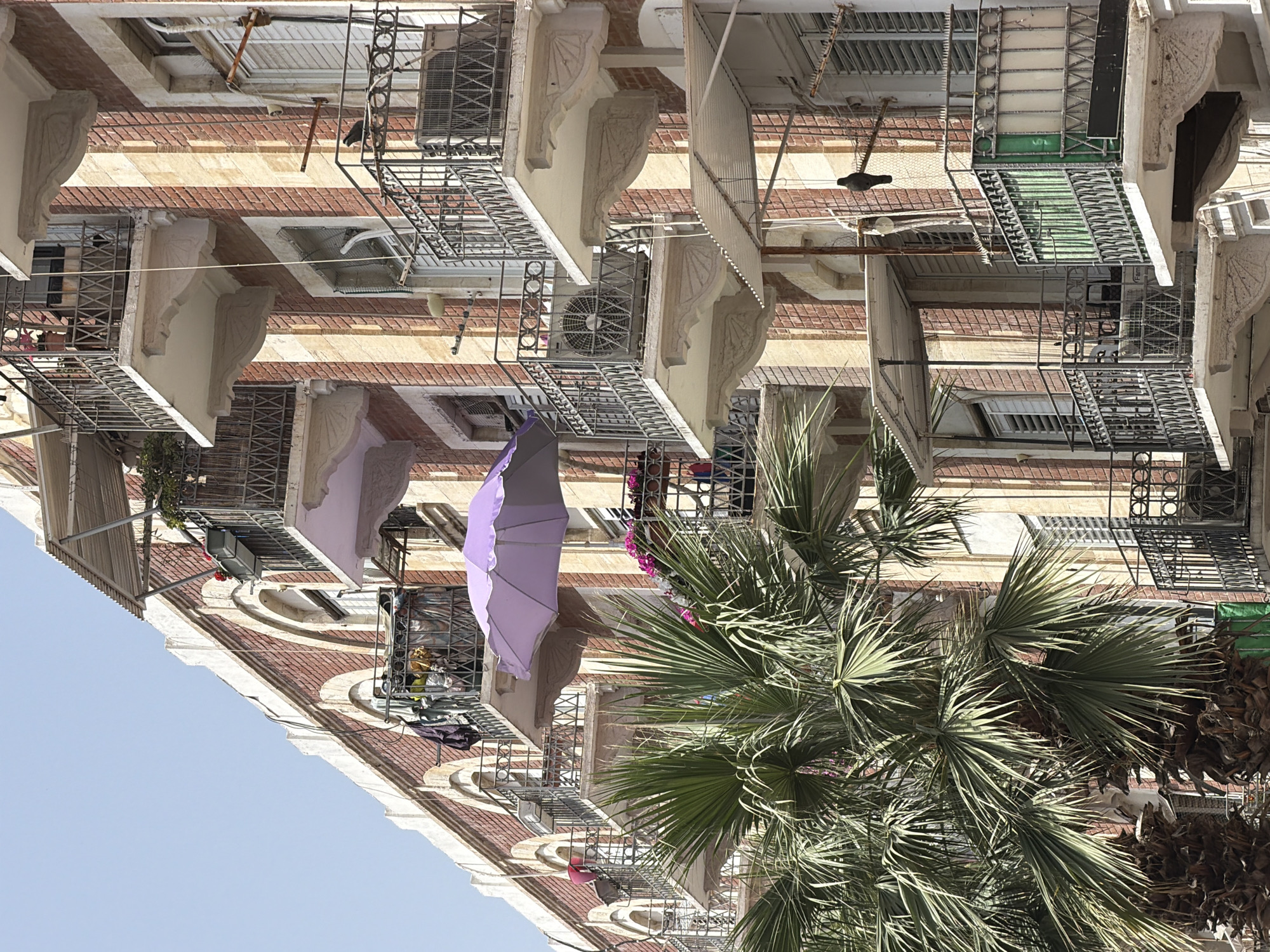 This image captures a vibrant, sunny urban scene, likely in Tel-Aviv, depicting a multi-story residential building partially framed by lush palm trees against a clear blue sky.
The main subject is an architectural facade characterized by alternating horizontal bands of reddish-brown brick and lighter-toned stone or stucco. The building features numerous windows and wrought-iron balconies. Many balconies are adorned with intricate black metal railings, and some display traditional decorative architectural elements like ornate brackets or corbels.
Several balconies show signs of daily life: air conditioning units are mounted on walls or placed on floors, potted plants add greenery, and what appears to be laundry or various household items are stored or hanging. A prominent, open purple umbrella provides a vivid pop of color, placed on one of the balconies. One metallic structure on a balcony has the word "FRAM" partially visible on a white label.
To the right, a large, verdant palm tree with spiky fronds dominates the foreground, its foliage extending across the building and casting shadows, indicating bright sunlight. Drier palm fronds are visible closer to the ground. The upper left of the image reveals a clear, light blue sky.
The strong light and distinct shadows suggest a bright, sunny day, likely midday or early afternoon. No people are visible, but the presence of everyday objects implies active residential use. The architectural style, combined with the presence of palm trees, aligns with the provided location context of Tel-Aviv, Israel.