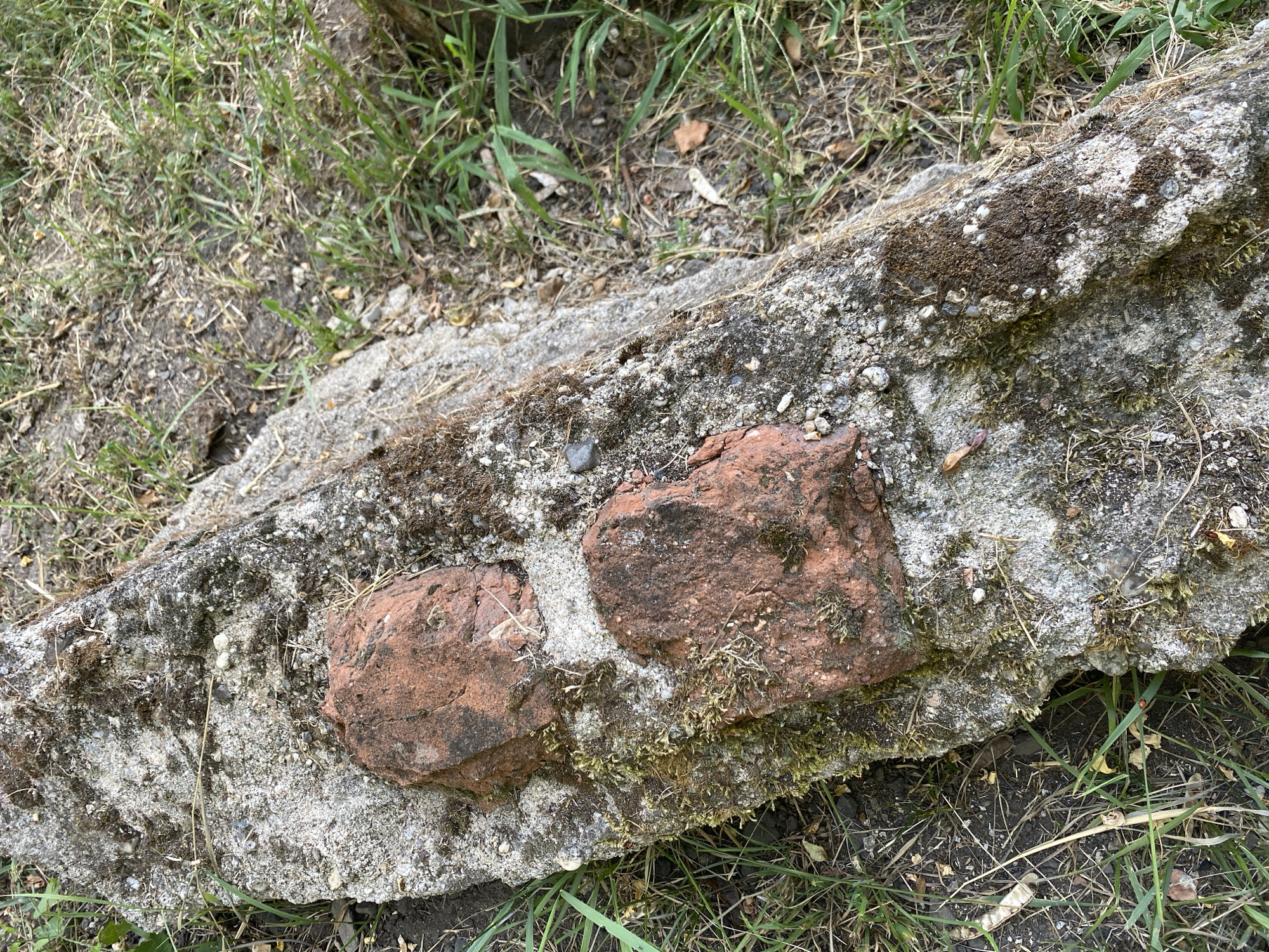 The image shows a close-up view of two weathered red bricks resting on a piece of concrete debris, surrounded by sparse green grass and dry soil. The concrete is rough and textured, with visible aggregate and patches of moss. The bricks are reddish-brown and appear old, with chipped edges and some moss growth. The scene suggests an outdoor, possibly neglected, urban environment in Bílina, Czechia.