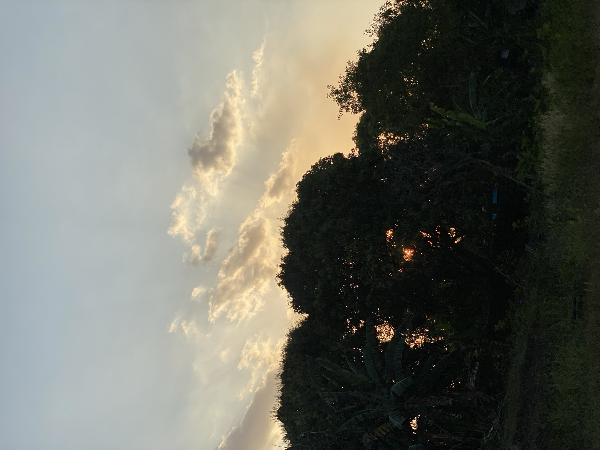 A photograph taken at dusk in Banjarbaru, Indonesia, captures a silhouetted view of lush green trees against a sky transitioning from pale blue to a warm orange hue. Scattered clouds, illuminated by the setting sun, drift across the upper half of the frame, with sunbeams subtly breaking through. The dense foliage of tropical trees, including banana plants, dominates the lower portion of the image, with glimpses of the fiery sunset peeking through the branches. The foreground is a dark, overgrown area with tall grasses and rough terrain. The scene evokes a tranquil natural setting, possibly on the outskirts of the city, far from its urban core.