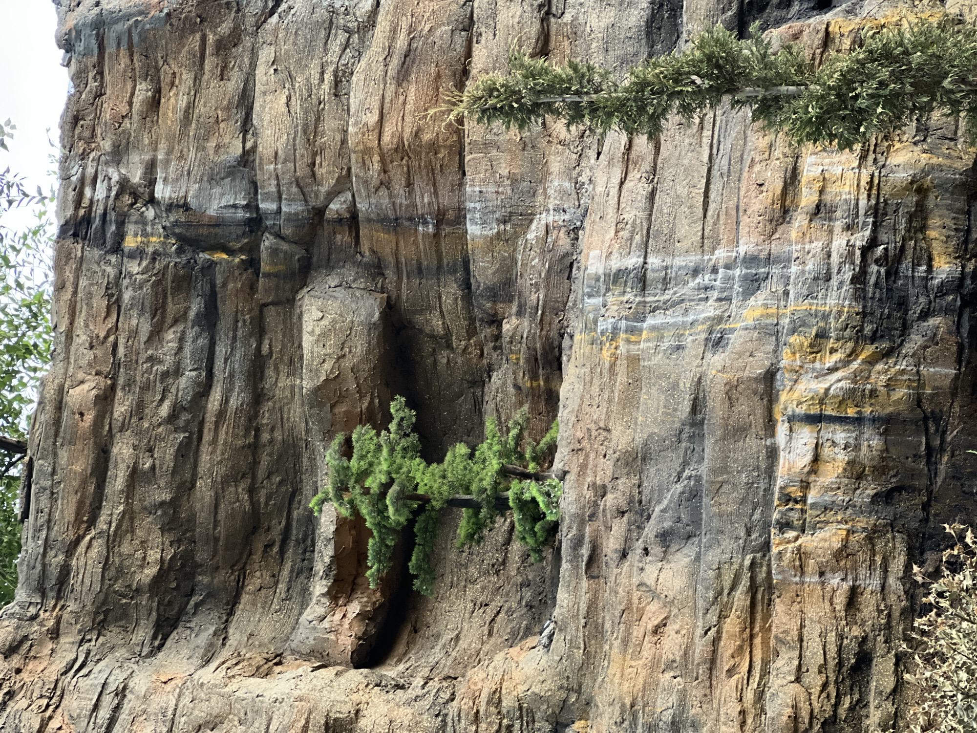 The image depicts a section of a rocky cliff face, possibly an artificial one, with two evergreen trees growing from it. The rock is layered and shows signs of weathering, with streaks of discoloration, likely from water runoff. The lower left of the image shows some dry, shrub-like vegetation. The overall impression is of a naturalistic landscape feature within an urban environment. No specific location in the city of Shymkent, Kazakhstan can be determined from the image itself.