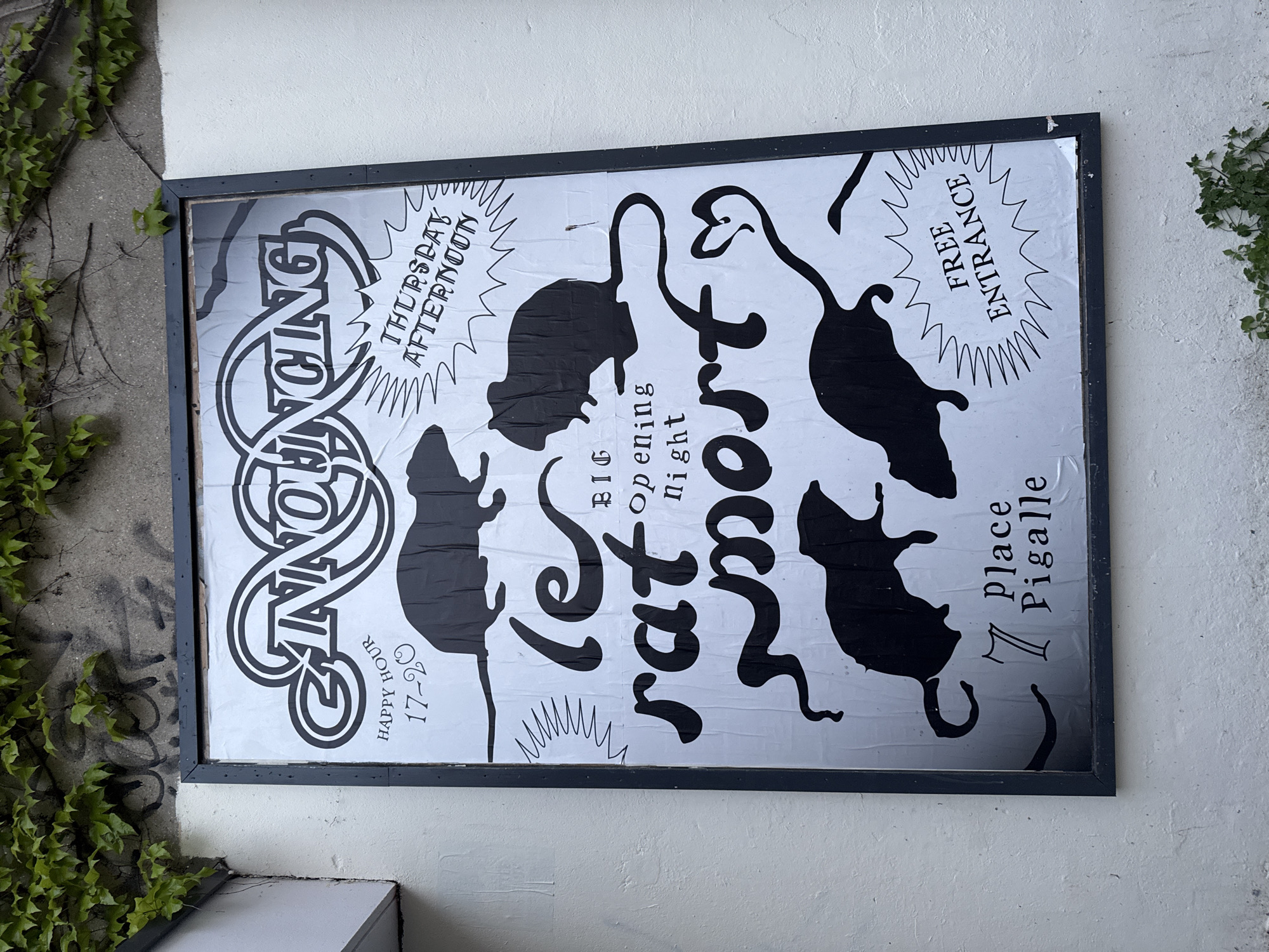 An outdoor, angled shot captures a framed poster mounted on a textured white wall. To the left, green ivy climbs a concrete surface, with faint graffiti visible on the concrete. The poster, displayed in a black frame, features a striking black-and-white design with several stylized silhouettes of rats.
The text on the poster, primarily in black, advertises an event. Prominently visible are "ANNOUNCING" (with the initial 'A' partially obscured by the frame), "HAPPY HOUR 17-20", and "THURSDAY AFTERNOON". The central event name reads "le rat mort", which translates to "the dead rat" in French, potentially indicating a venue or theme. Further details include "BIG opening night", "FREE ENTRANCE", and "7 Place Pigalle". The poster's paper shows wrinkles and some reflective glare. The setting indicates an urban environment, likely in Paris, France, given the "Place Pigalle" reference.