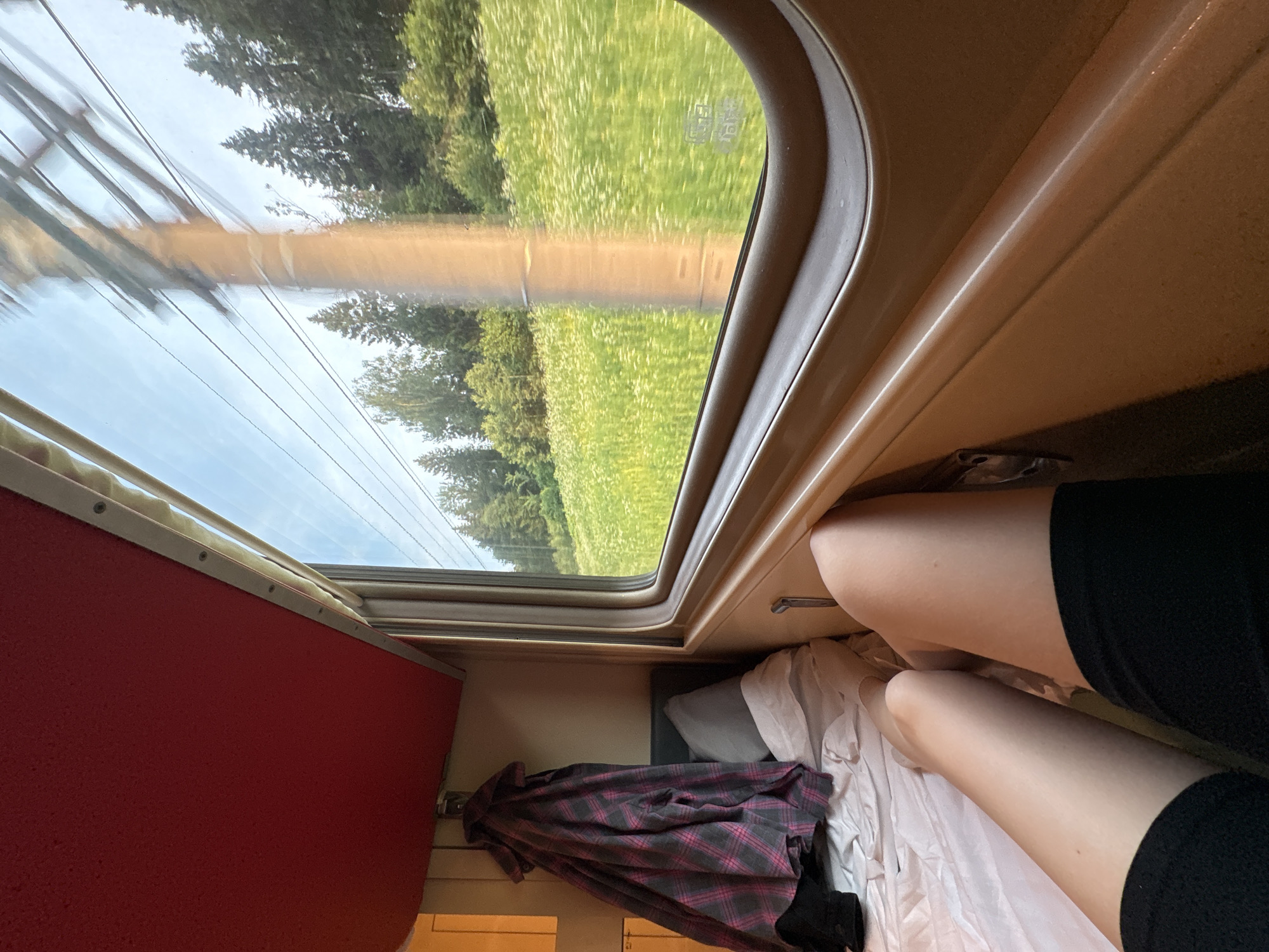 The image shows the interior of a train carriage, looking out the window at a rural landscape. The window is large and curved, with a tan-colored frame. Through the window, a field of white wildflowers is visible, with a line of trees in the background. A utility pole with wires runs through the scene outside. Inside the carriage, a red ceiling is visible above the window. A plaid shirt is hanging on a hook to the left of the window. In the foreground, a person's legs are visible, wearing black shorts. The bed or seat of the carriage is covered in white sheets. The lighting suggests it is daytime. The scene is consistent with travel through a rural area, potentially near Pokrovka, Russia, given the mention of that location.