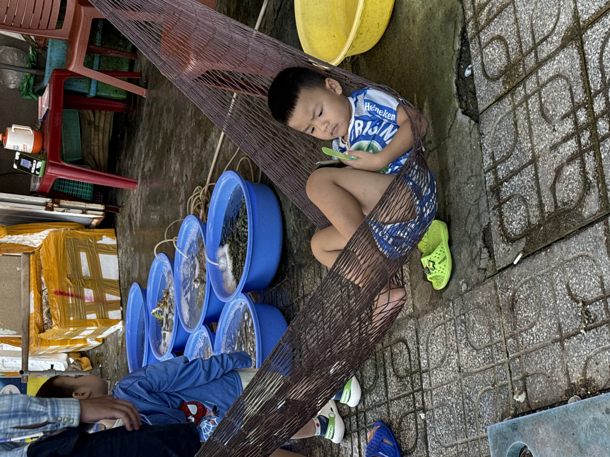 This media file captures an outdoor, likely street market or vendor stall scene in Bắc Nha Trang, Vietnam, featuring children and various items for sale or household use.
In the foreground, a young boy with dark, short hair is comfortably seated in a dark brown netting hammock. He is wearing a blue and white t-shirt with the text "Heineken ORIGIN" and patterned shorts, along with bright lime green sandals. He intently focuses on a small green object held in his hands, possibly a mobile phone or a toy. Behind him, a large yellow plastic basin is visible.
To the left, another child, clad in a blue long-sleeved shirt with a "Spider-Man" logo, is lying down. An adult's arm, dressed in a plaid shirt, rests near this child, suggesting their presence or care. Next to them, a row of five blue plastic tubs or buckets, filled with water and what appear to be small aquatic creatures (possibly fish or crustaceans), are displayed, likely for sale. Yellow-wrapped packages or boxes are stacked beside these tubs.
In the background, there are red plastic chairs and a small red plastic table. On the table, a white and orange water jug or thermos and a small electronic device are placed. The ground is a mix of patterned concrete tiles and rougher concrete, showing some cracks and debris, including cigarette butts. The scene depicts a casual, daytime setting, reflecting everyday life in a lively outdoor environment.